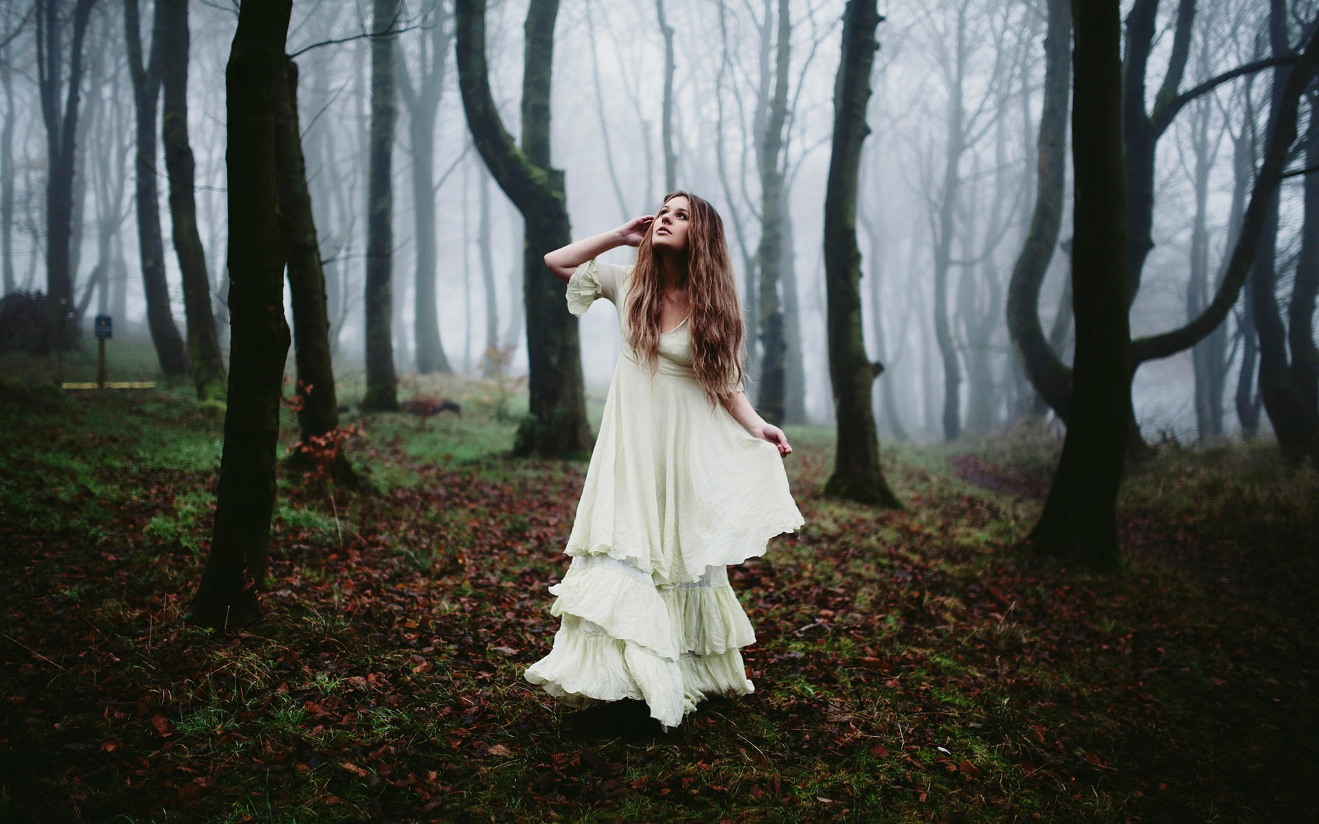 maxi, White, Dress, Girl, Fog, women, Morning, 1080P, Forest, s, HD Wallpaper