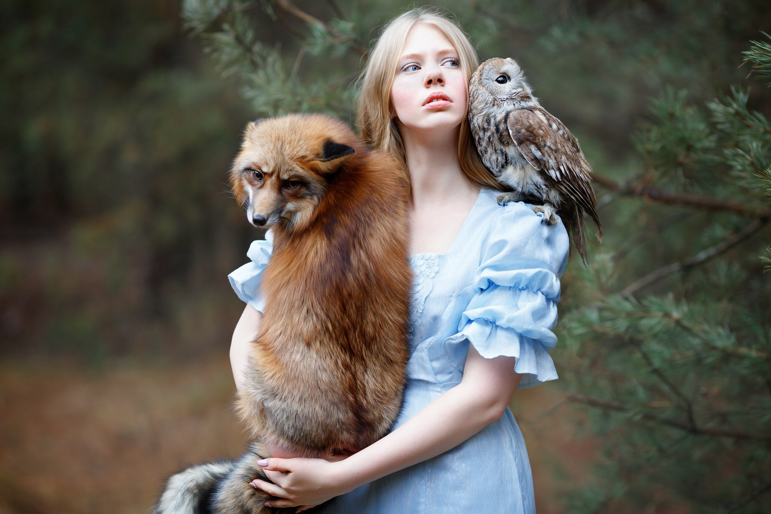 owl, Julia Kowalska, friends, girl, Fox, bird, 2K, photographer Svetlana Nicotine, red, HD Wallpaper