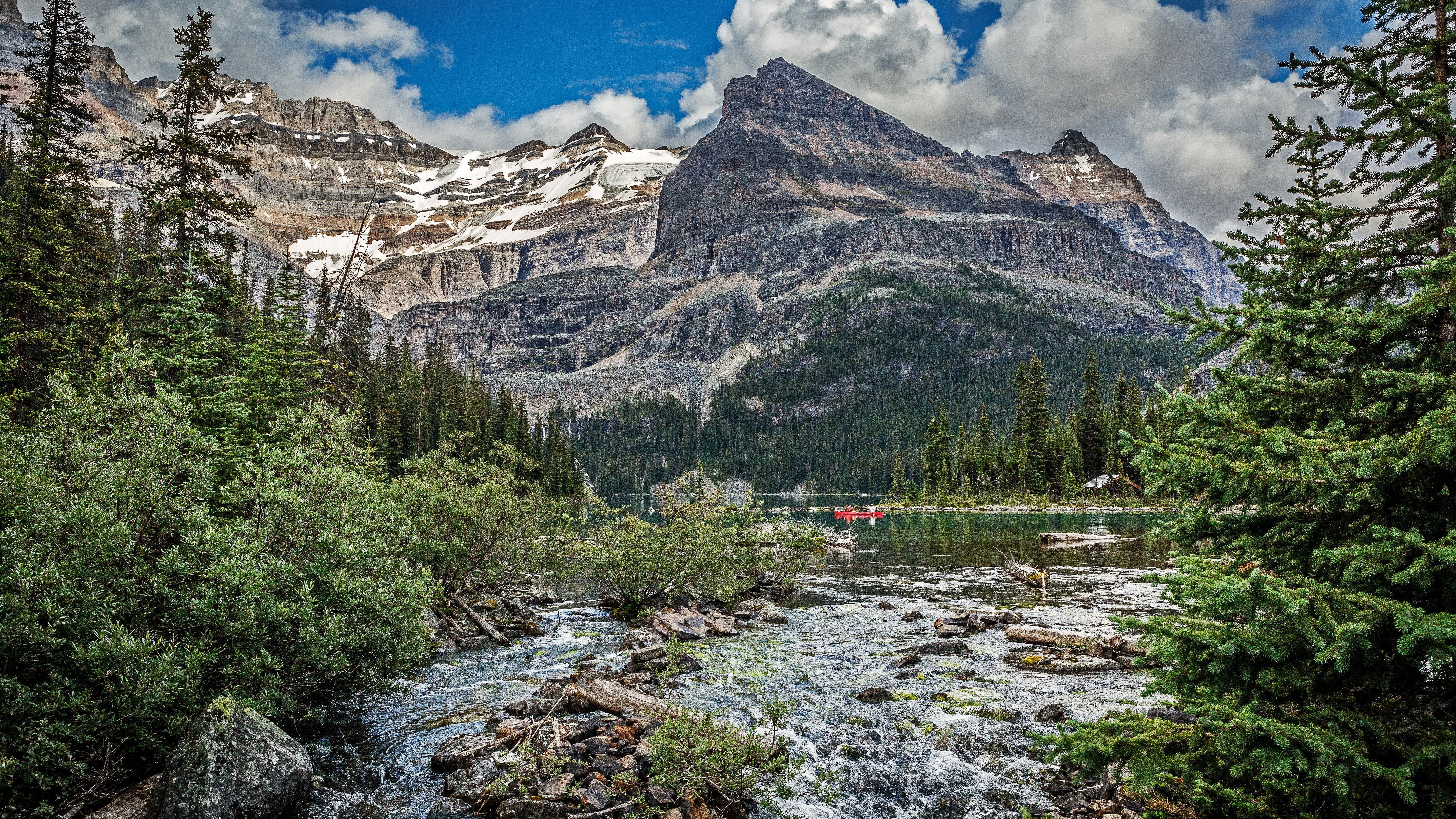 outdoors, water, plant, formation, coniferous tree, nature, non-urban scene, rock - object, forest, mountain stream nature 8k background, scenics - nature, HD Wallpaper