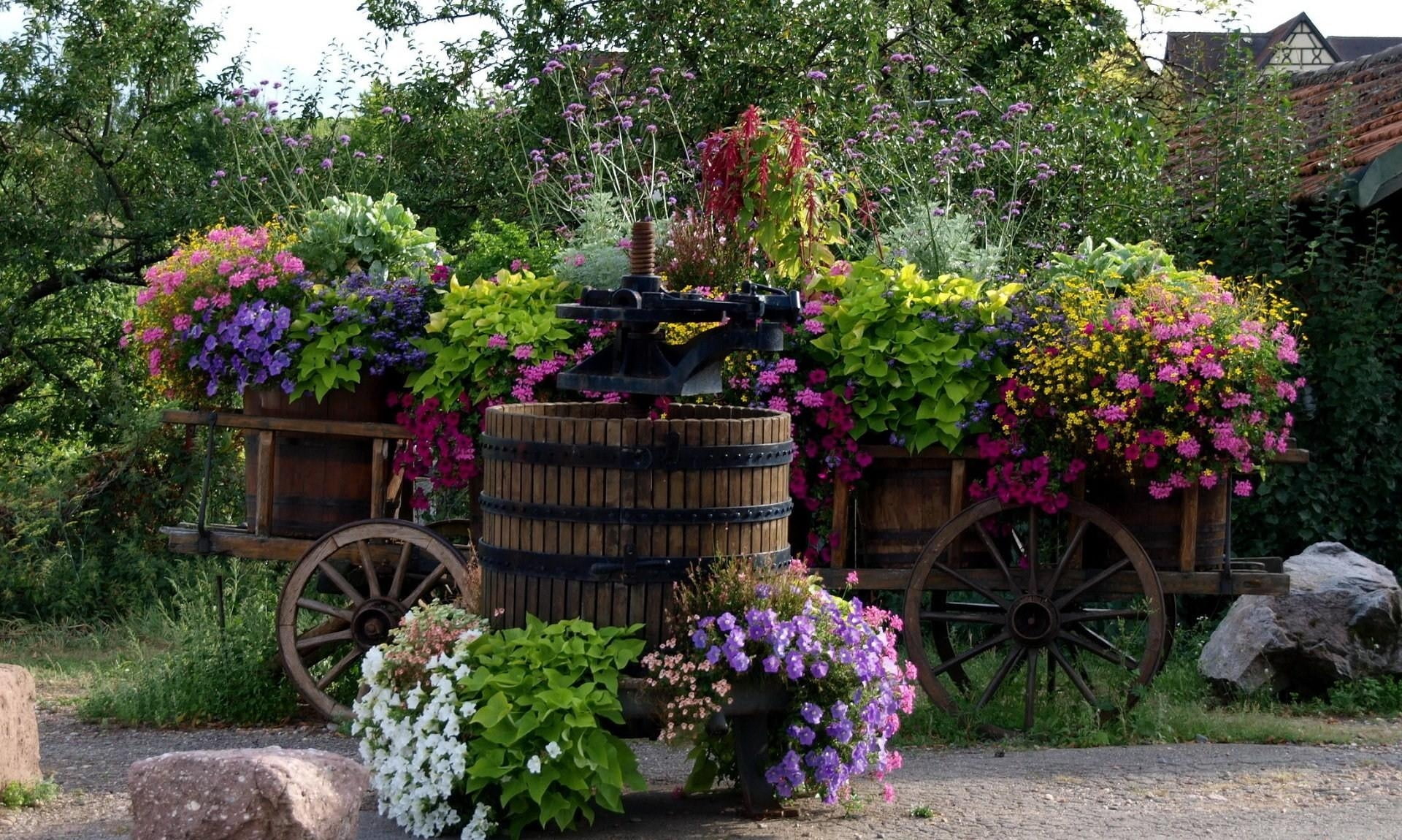 plant, vulnerability, garden, rural Scene, blossom, old, beauty in nature, outdoors, green Color, ornamental Garden, flower Pot, park, flowering plant, HD Wallpaper