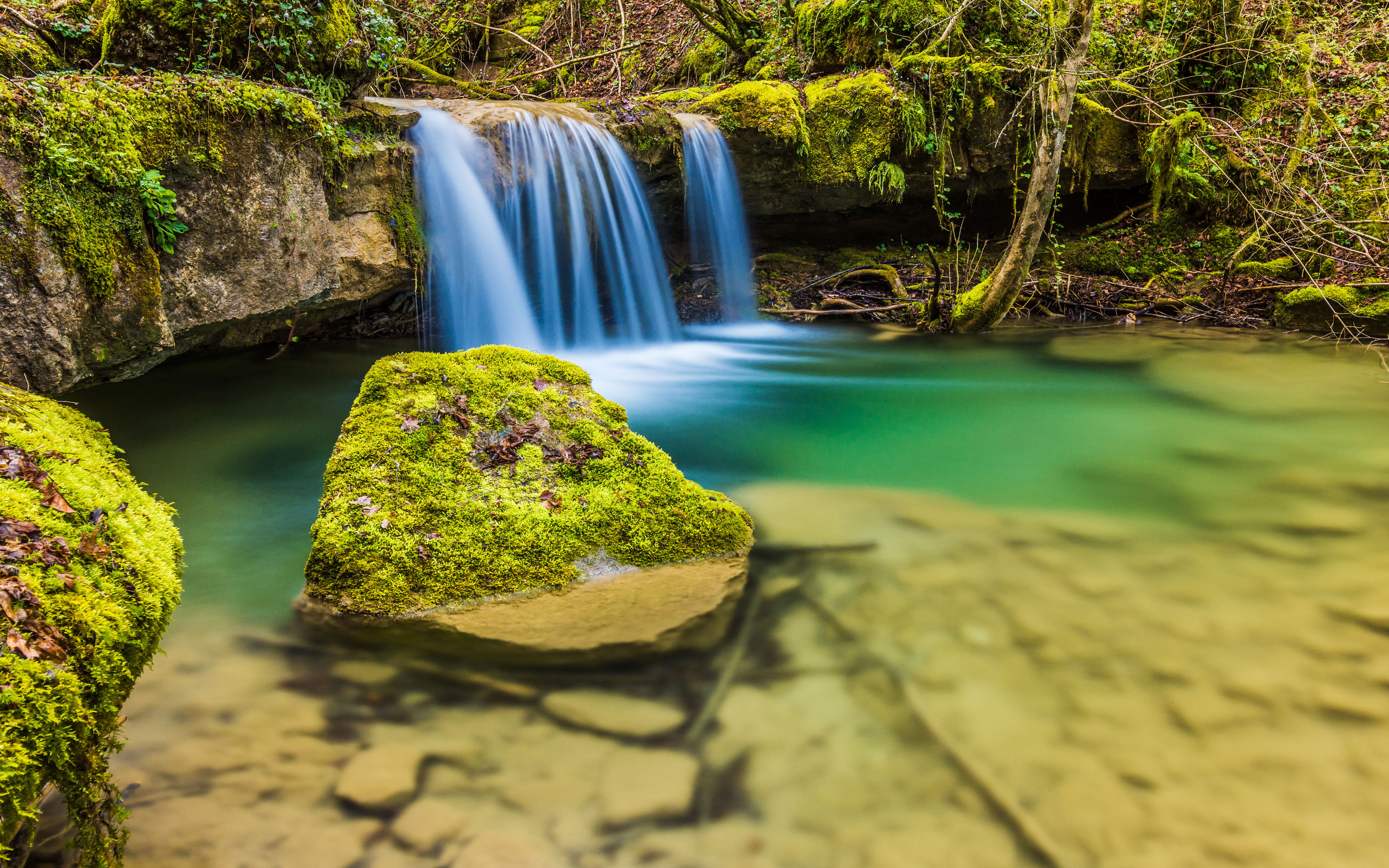 moss, forest, flowing water, nature, stream - flowing water, phones, scenics - nature, plant, small, power in nature, flowing, beauty in nature, HD Wallpaper
