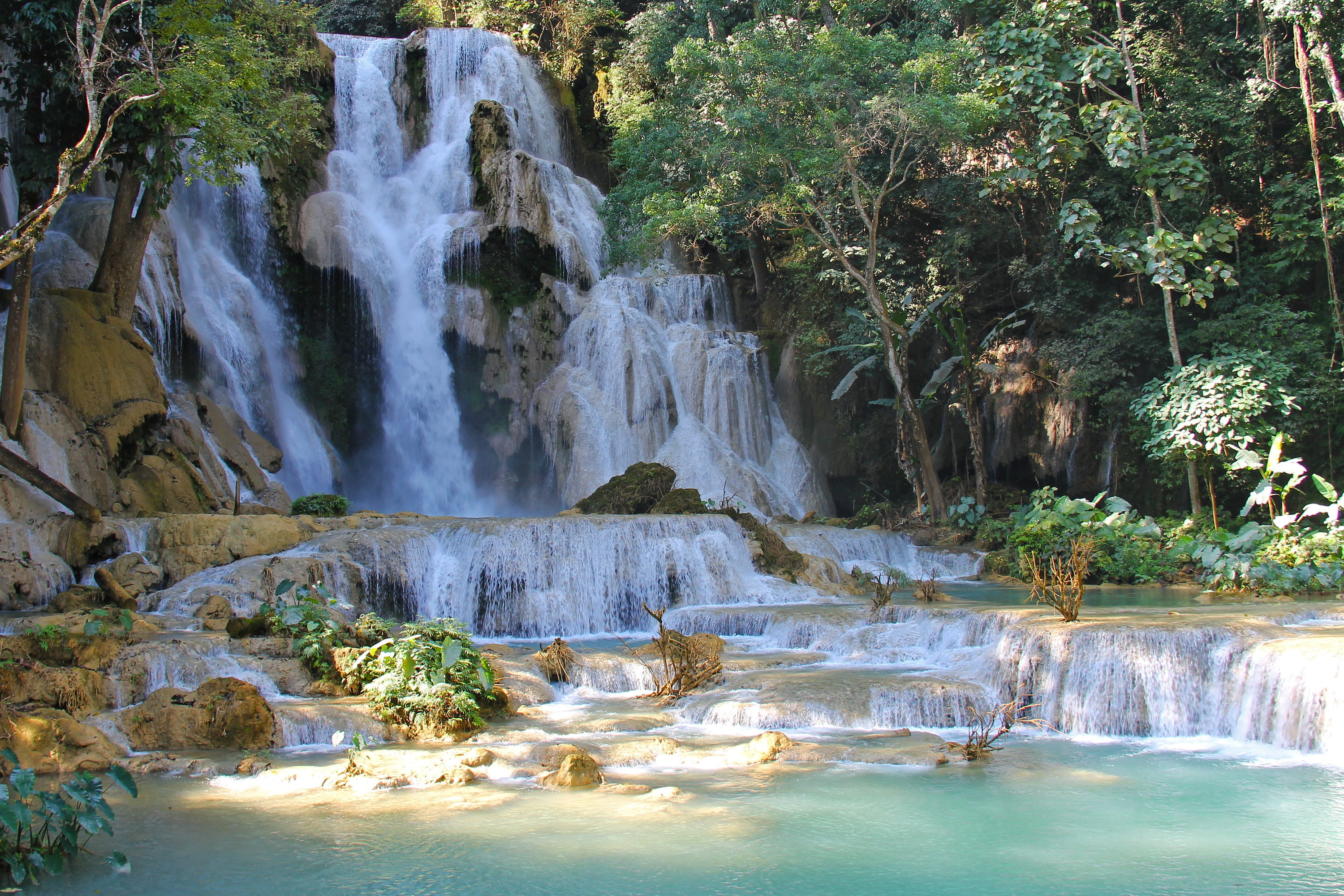 unesco heritage, non-urban scene, waterfall, laos, long exposure, trees, landscape, kuang si falls, 2K, plant, turquoise water, beautiful, solid, tree, HD Wallpaper