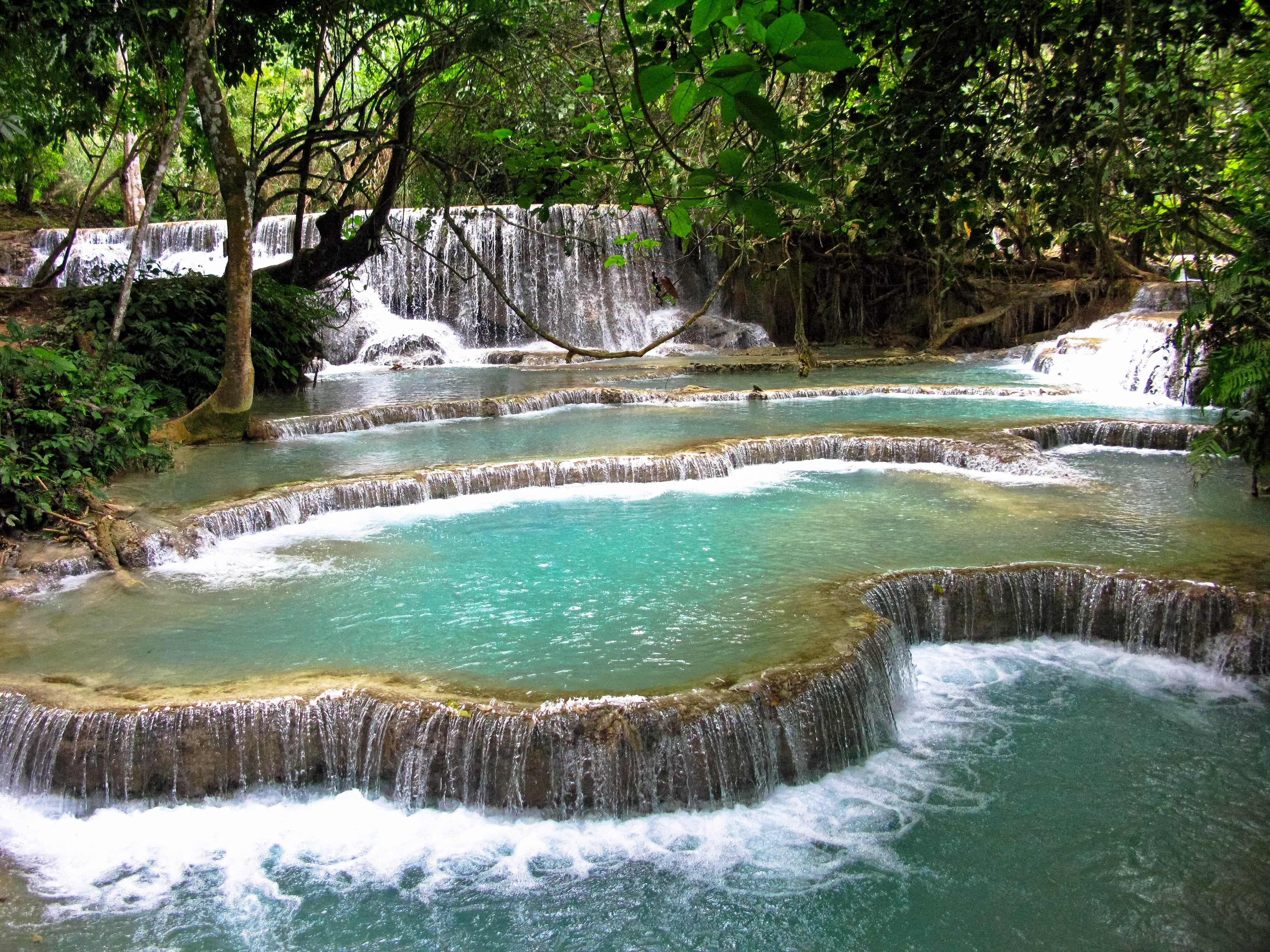 water, nature, idyll, idyllic, river, jungle, tree, laos, scenics - nature, luang prabang, flowing, power in nature, forest, flowing water, turquoise, beauty in nature, HD Wallpaper