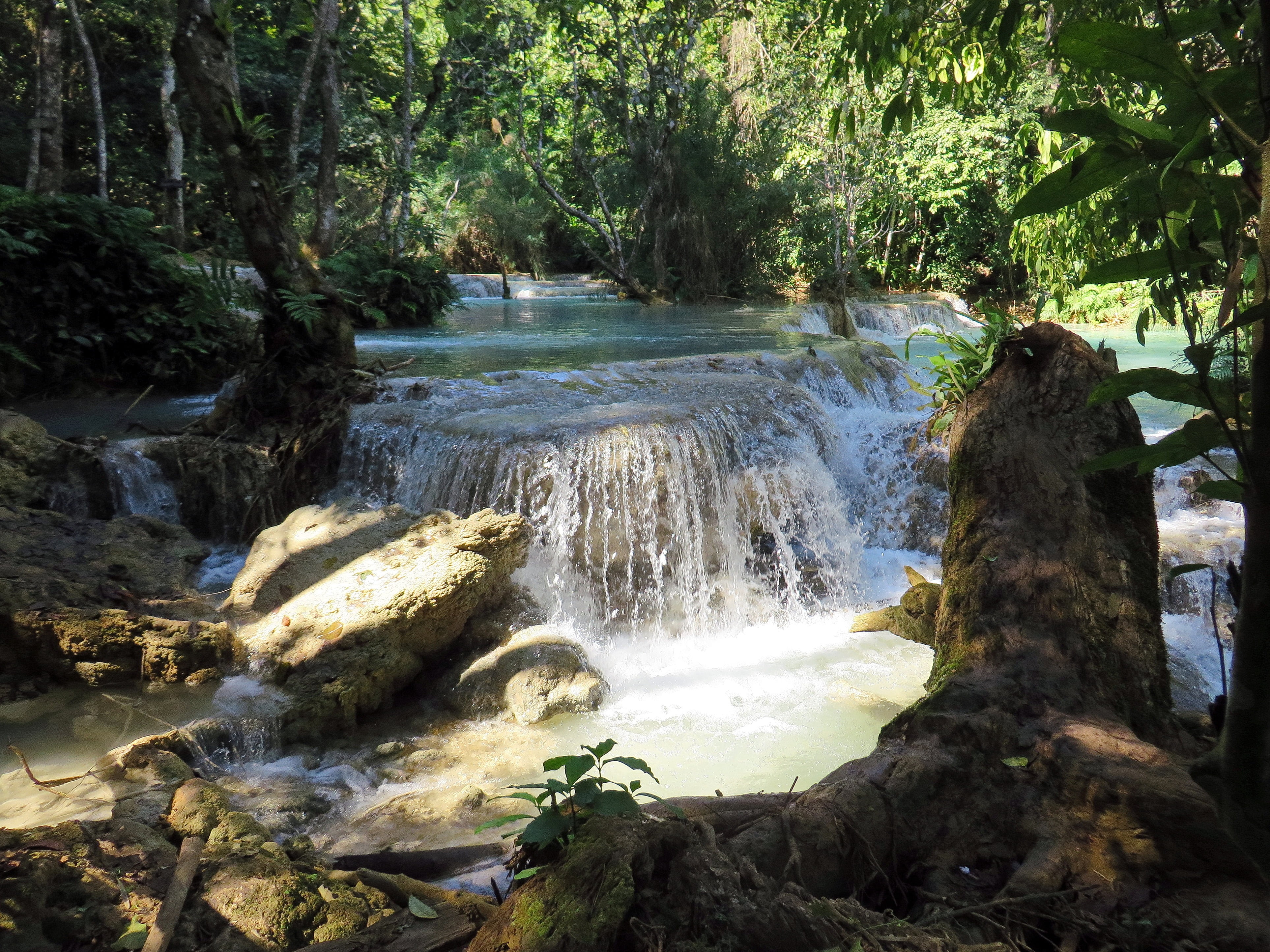 long exposure, tree, 4K, beauty in nature, power in nature, kuang if, scenics, land, waterfall, scenics - nature, growth, rock, solid, no people, flowing water, HD Wallpaper