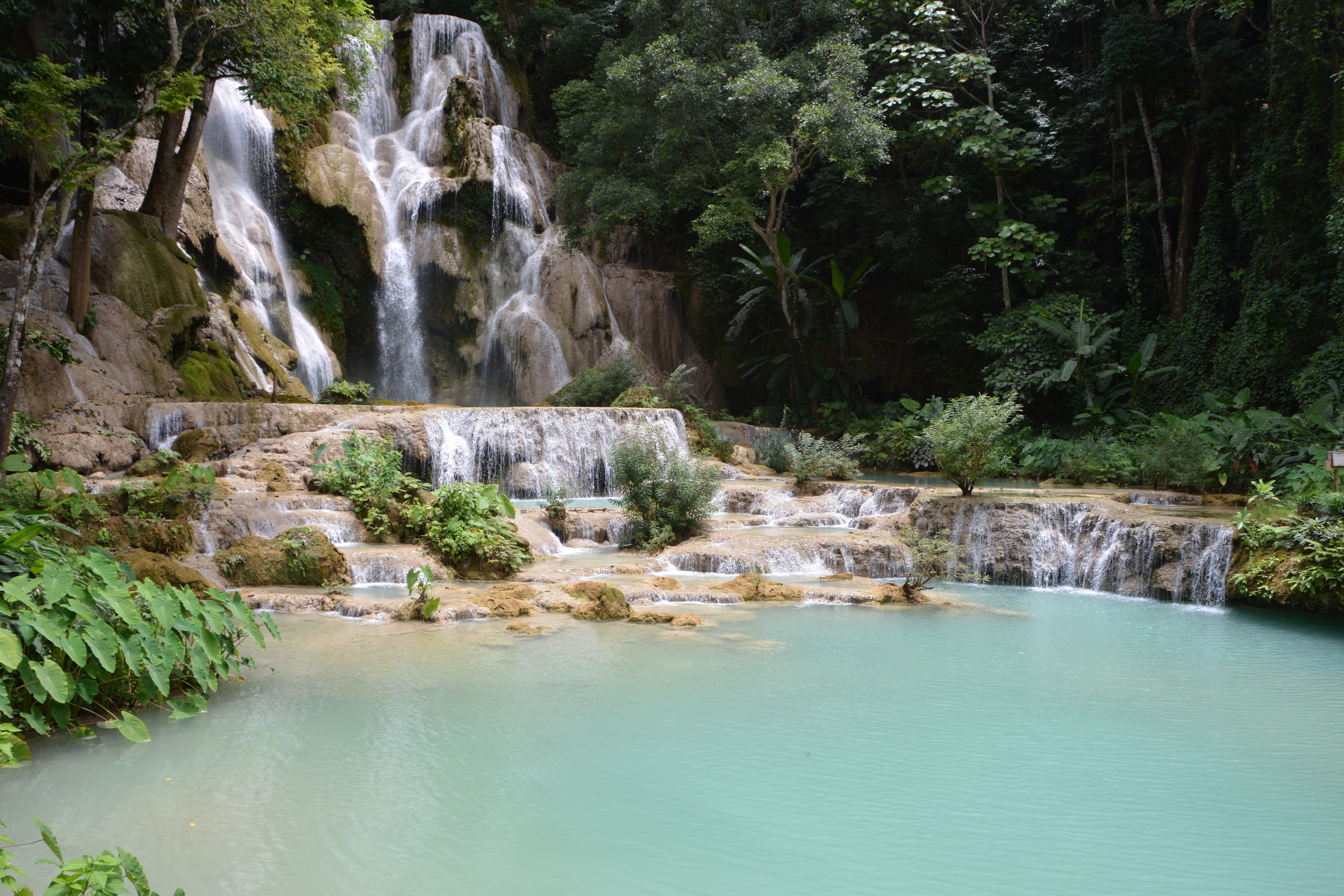 rock, flowing water, scenics - nature, motion, cascade, forest, flowing, waterfall, non-urban scene, rock - object, no people, tree, water, plant, solid, HD Wallpaper