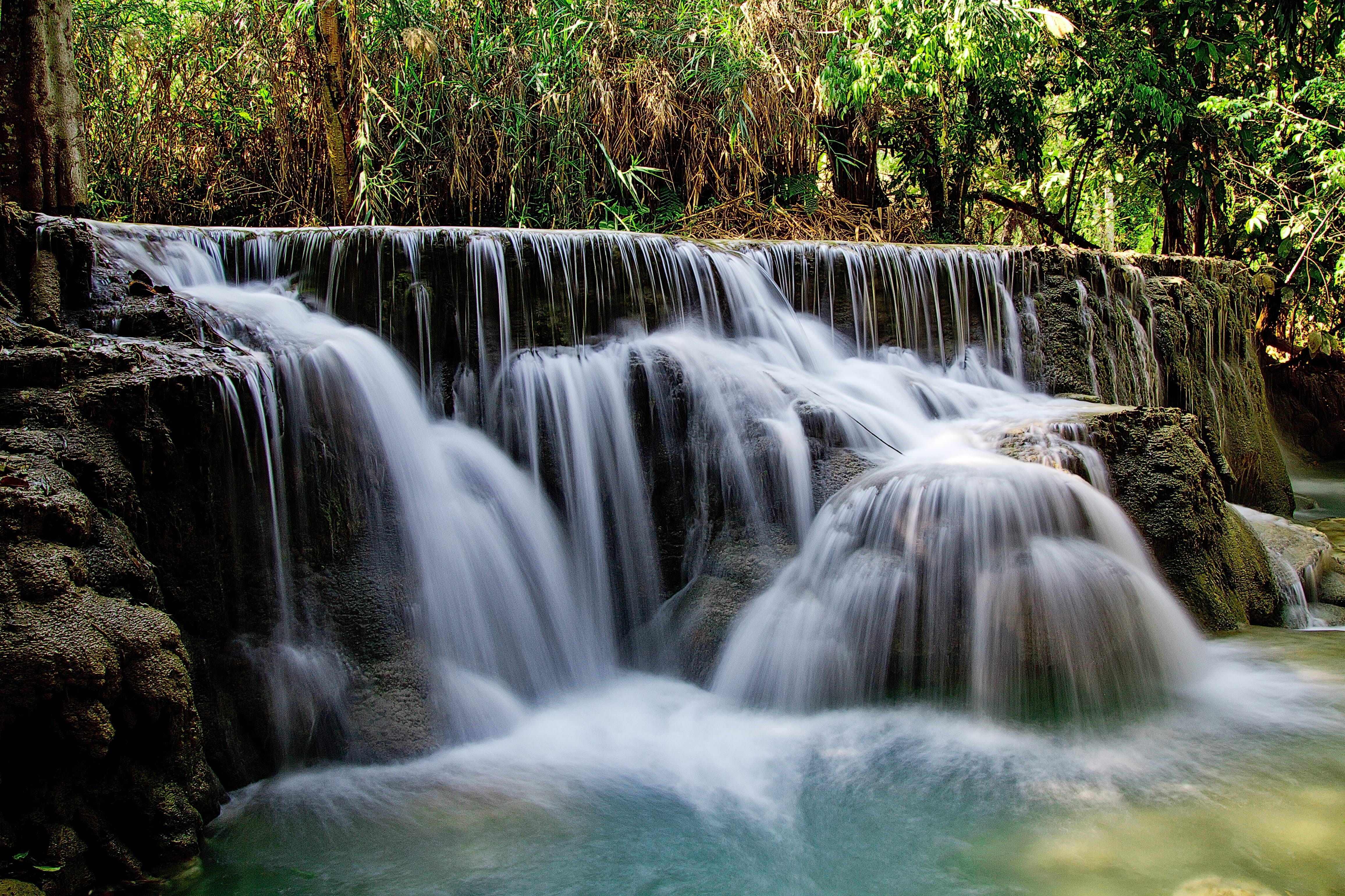 nature, environment, motion, tree, falls, growth, day, long exposure, rock, flowing water, blurred motion, water, rainforest, scenics - nature, plant, no people, HD Wallpaper