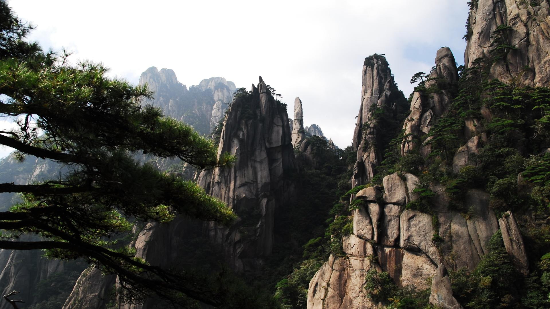 magical, crags, cliffs, treed, clifffs, trees, 1080P, nature and landscapes, mist, HD Wallpaper