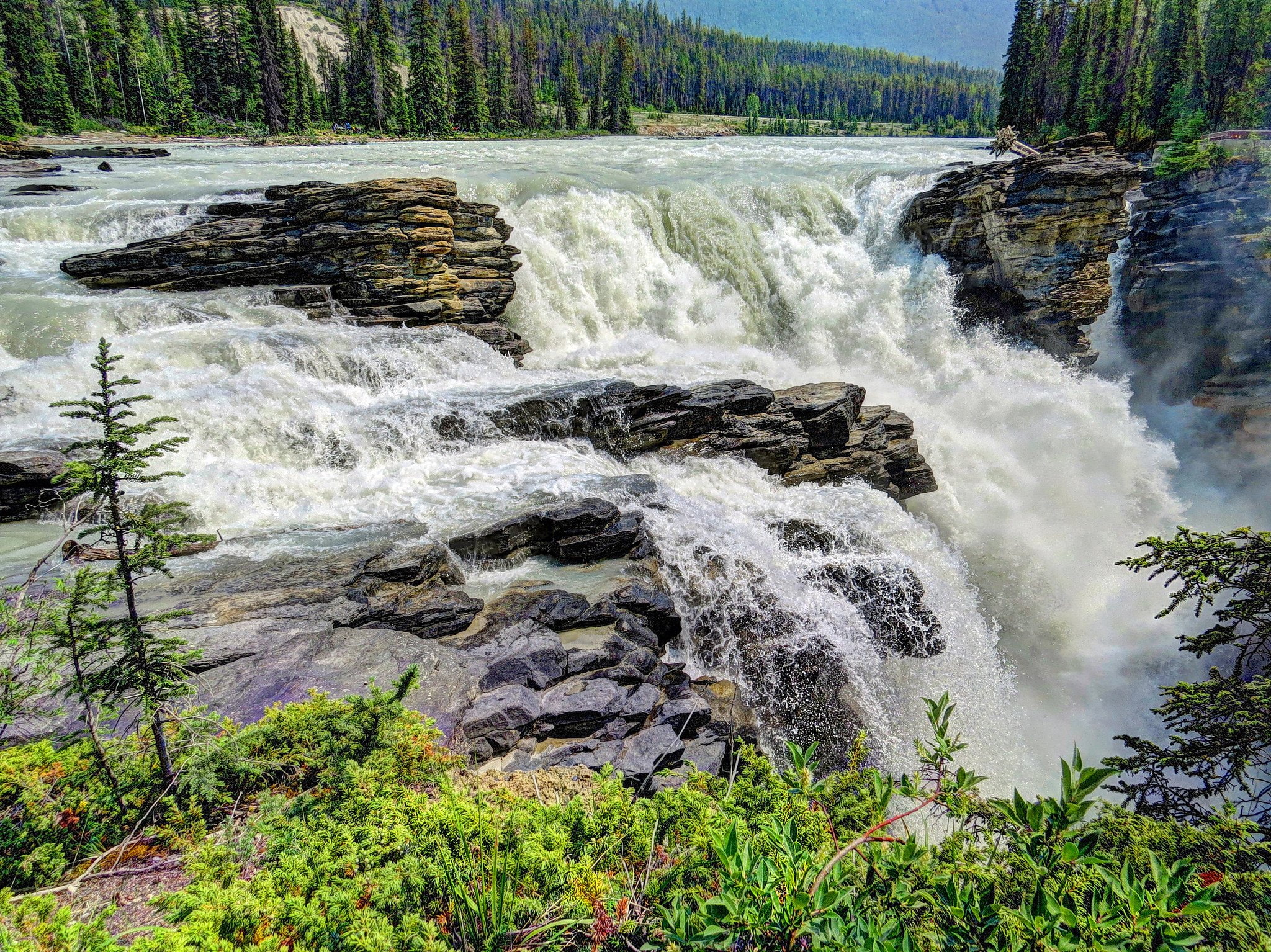 waterfall, crag, usa, athabasca, falls, jasper, forest, nature, parks, 1080P, HD Wallpaper