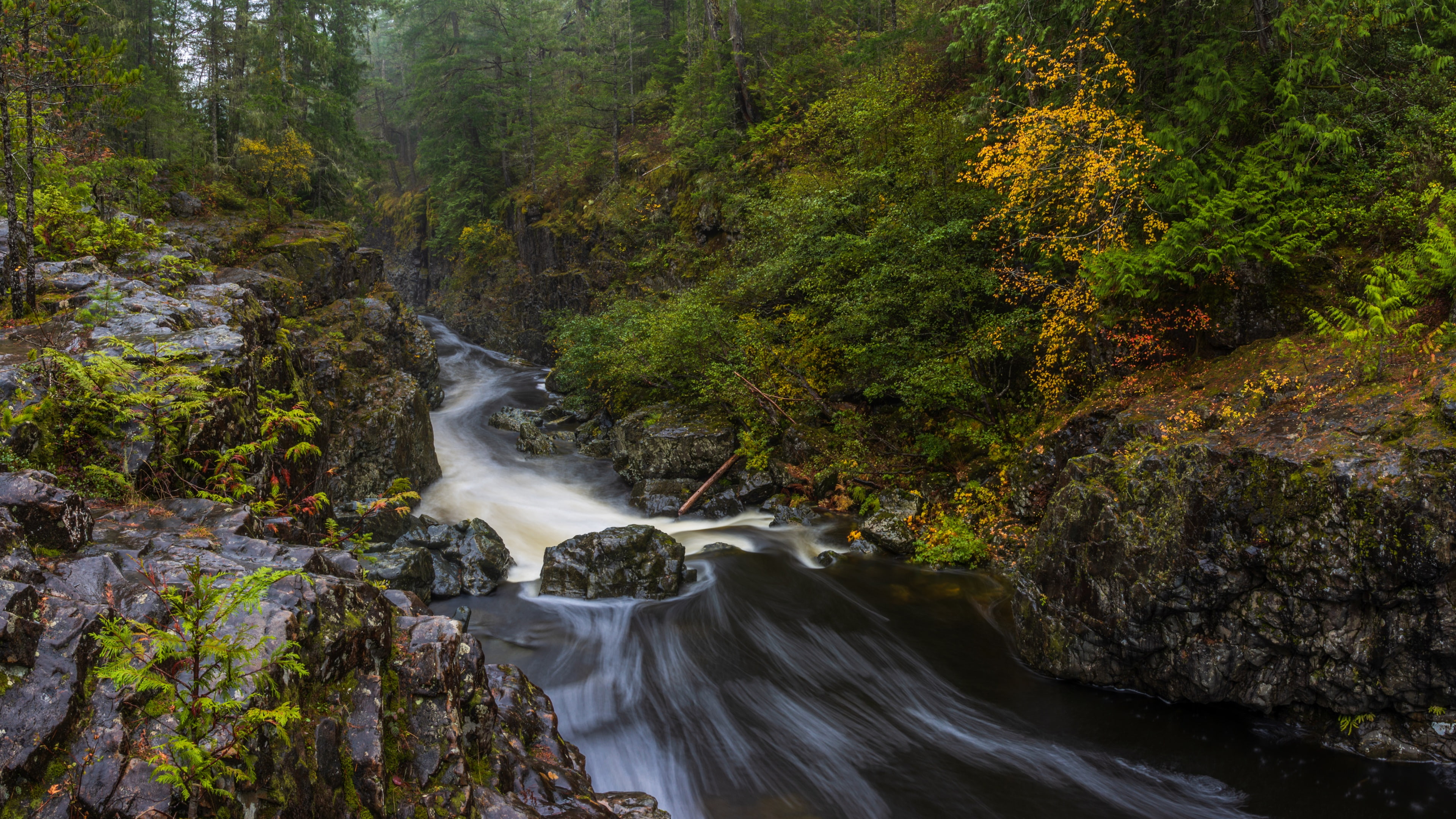 stream, crag, river, woodland, forest, 4K, creek, HD Wallpaper