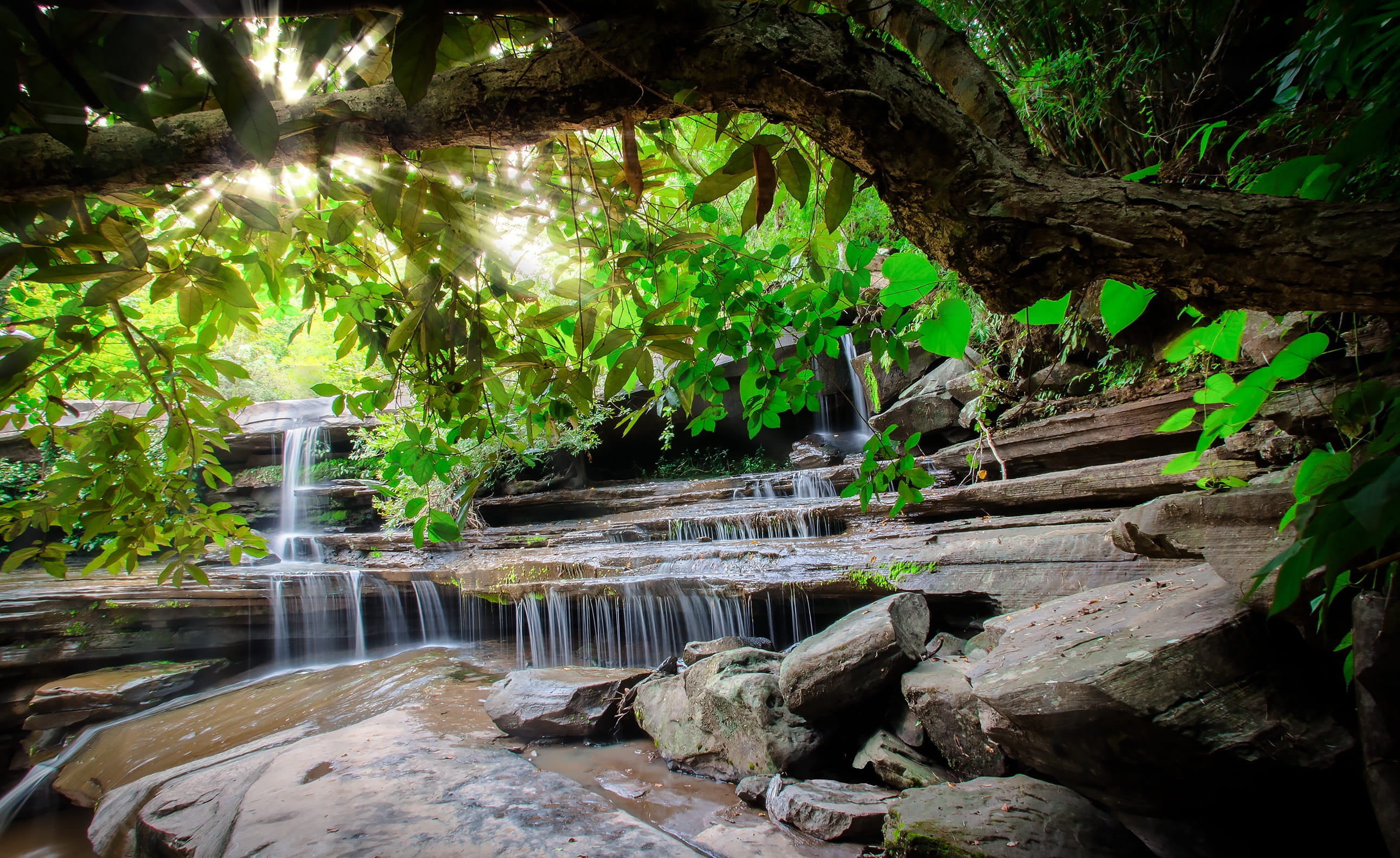 view, tranquility, bright, the environment, outdoors, the national park, summer, water play, growth, water, river, flow, nature, phu phan, green color, HD Wallpaper