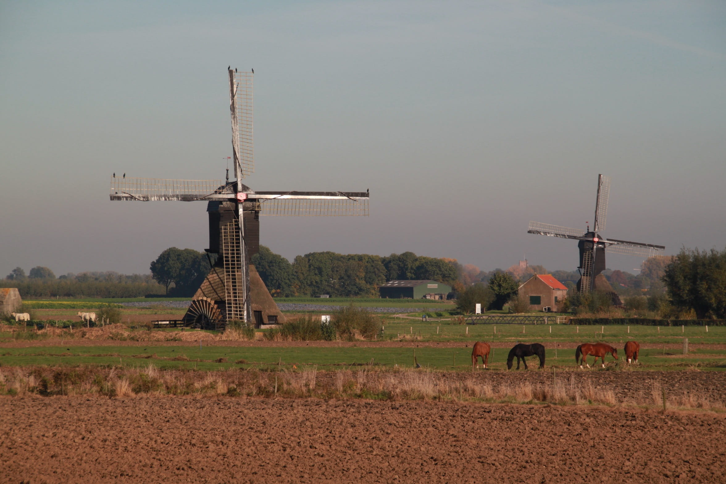 turbine, no people, wind power, military, sky, land, renewable energy, netherlands, wicks, Nature, environmental conservation, field, farm, day, Dutch, HD Wallpaper