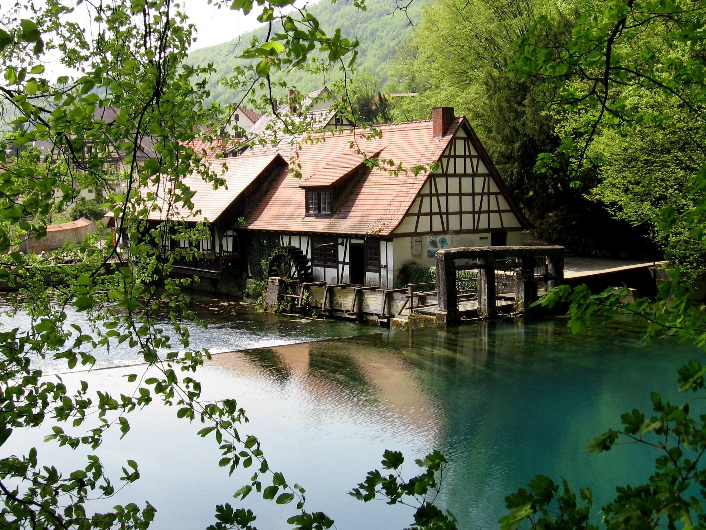 house, building, animals, trees, old, river, 1080P, mill, HD Wallpaper