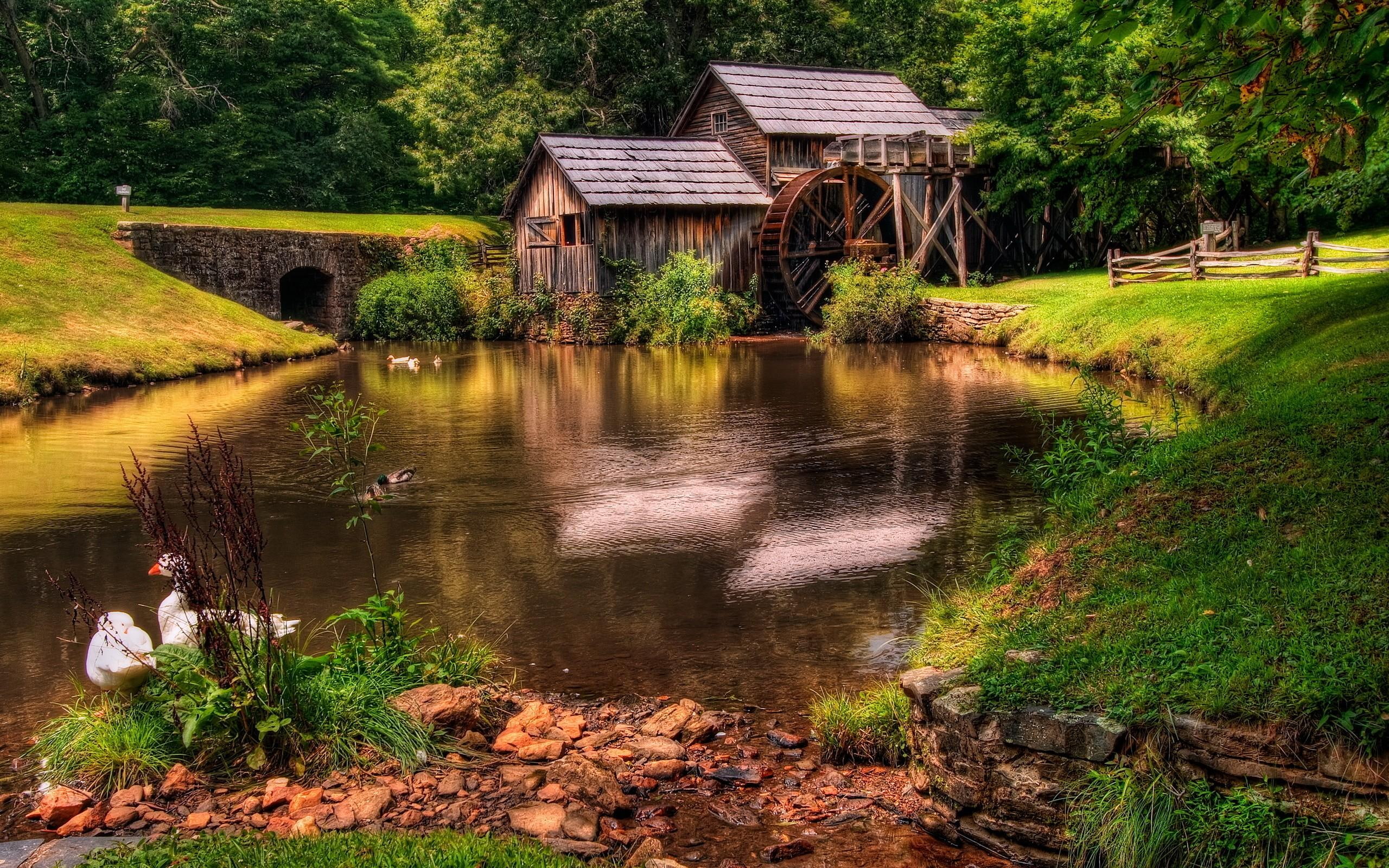 grass, field, old, trees, forest, 2K, water, nature and landscapes, nature, mill, river, daylight, HD Wallpaper