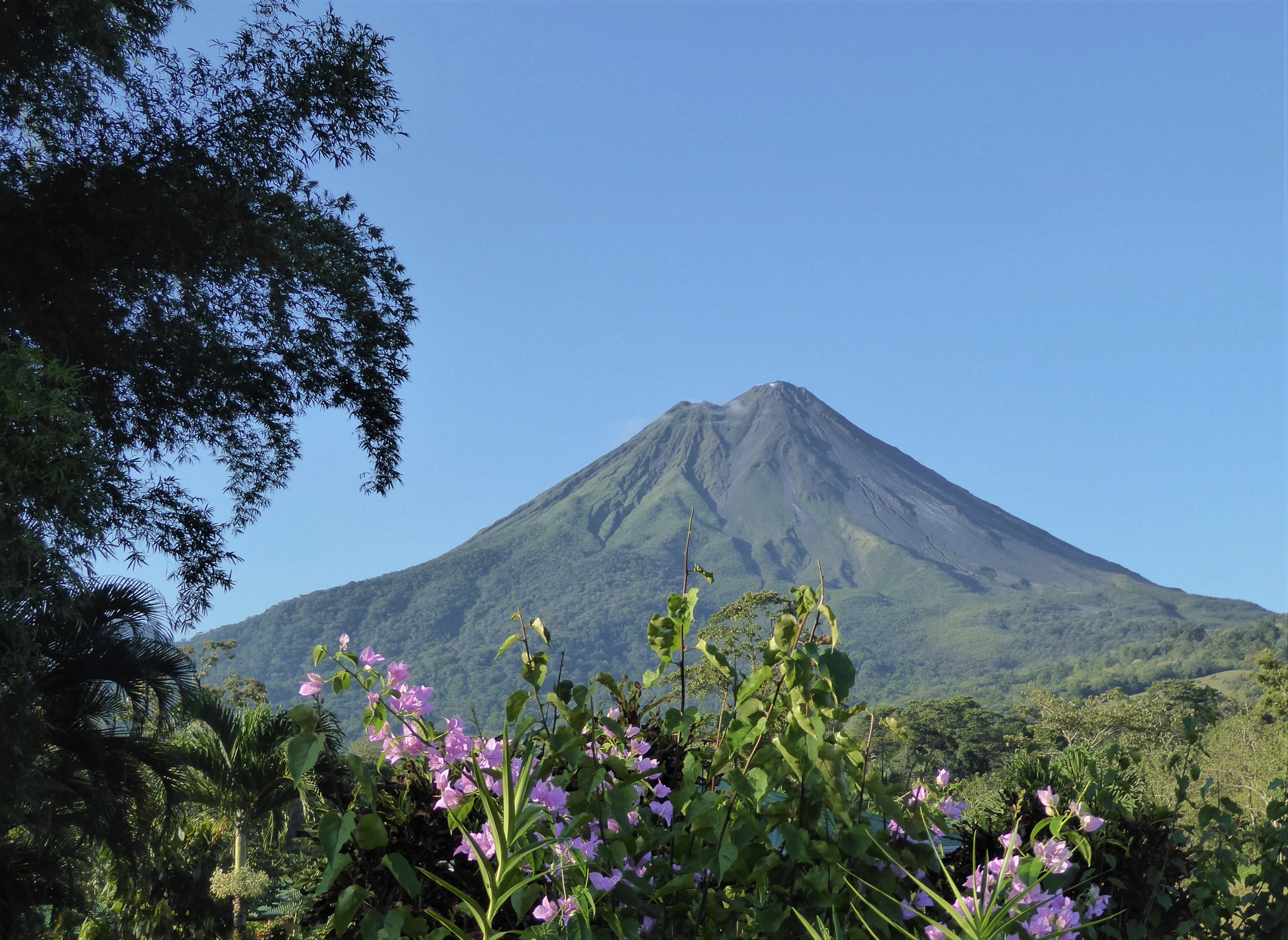 central america, flowering plant, tranquility, growth, nature, costa rica, non-urban scene, flower, sky, tranquil scene, arenal, tree, landscape, mountain, HD Wallpaper