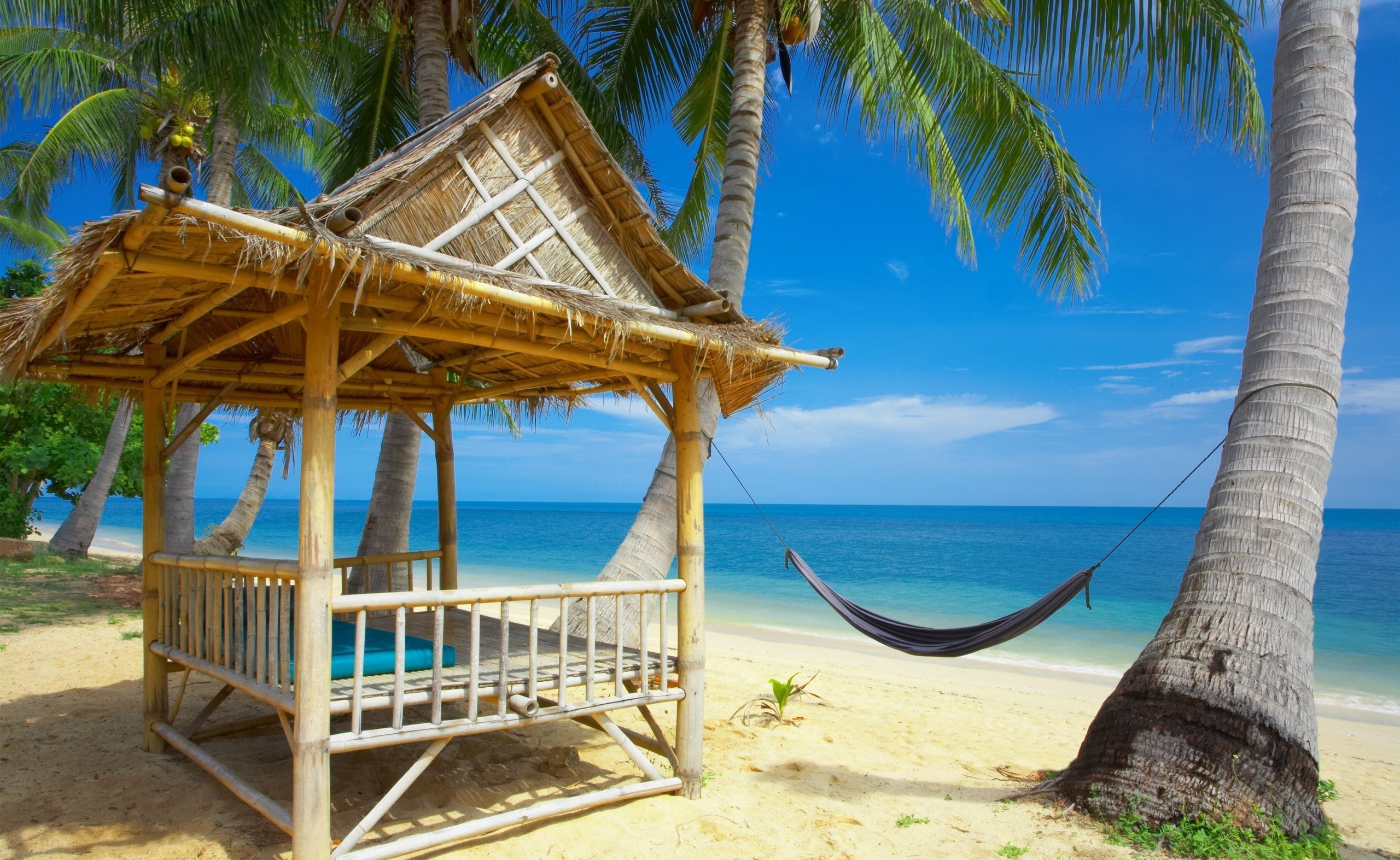 brown, coconut palm tree, sea, bamboo, scenics - nature, horizon, sky, Nature, sand, outdoors, hammock, plant, beauty in nature, thatched roof, horizon over water, HD Wallpaper
