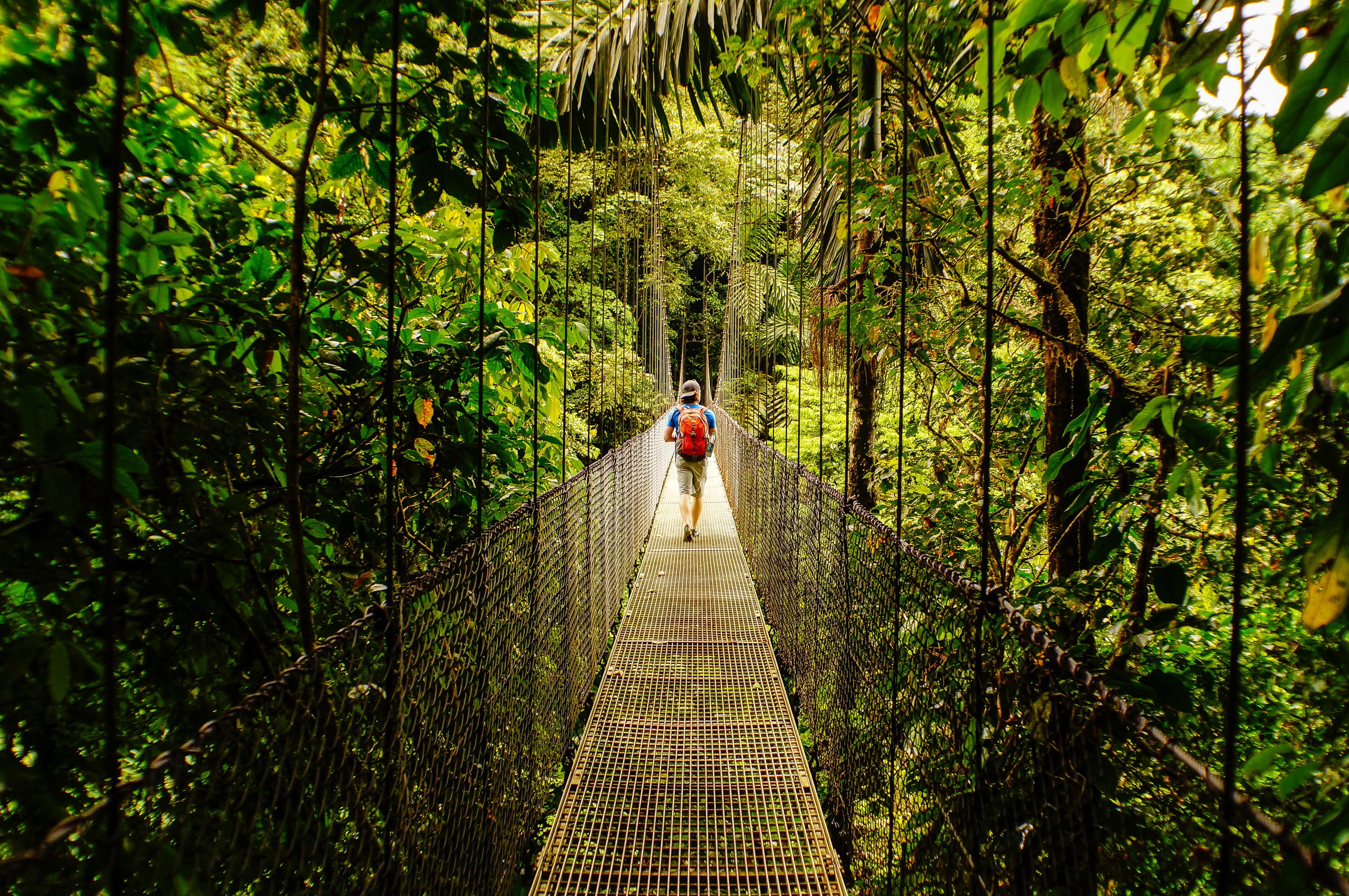leisure activity, tree, growth, direction, plant, one person, footbridge, arenal volcano, land, day, forest, travel, bridge - man made structure, diminishing perspective, HD Wallpaper