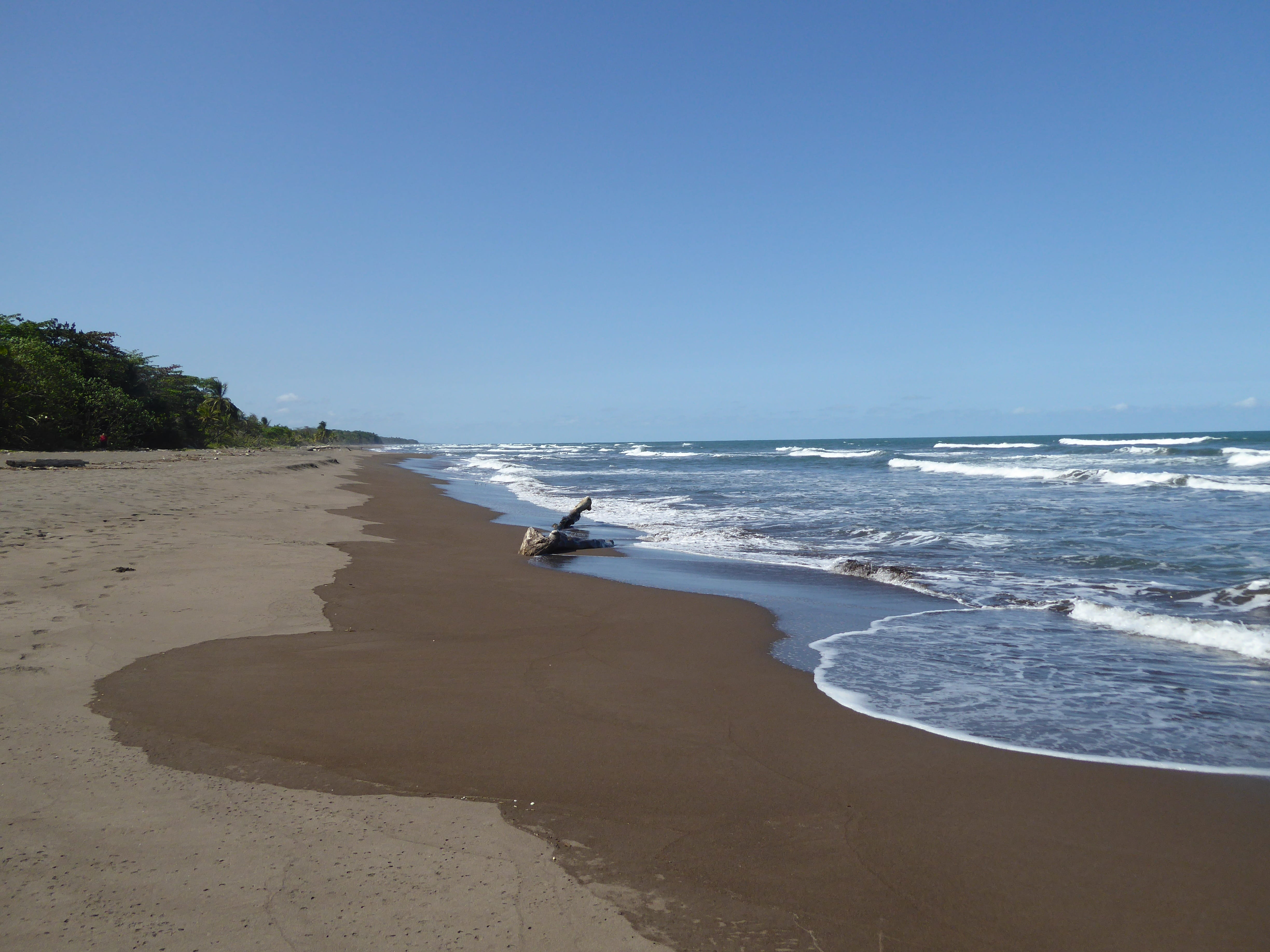 beach, tortuguero national park, aquatic sport, sport, nature, scenics - nature, wave, surfing, 4K, day, water, tranquility, costa rica, motion, outdoors, HD Wallpaper