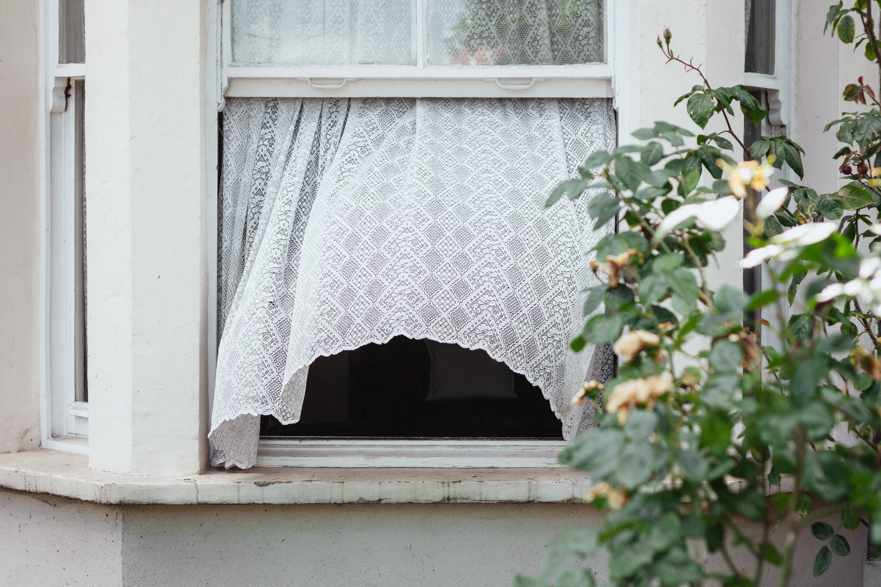 garden, building, glass - material, white color, net curtain, mystery, hanging, breeze, plant part, wind, plant, open window, lace, outdoors, window, closeup, HD Wallpaper