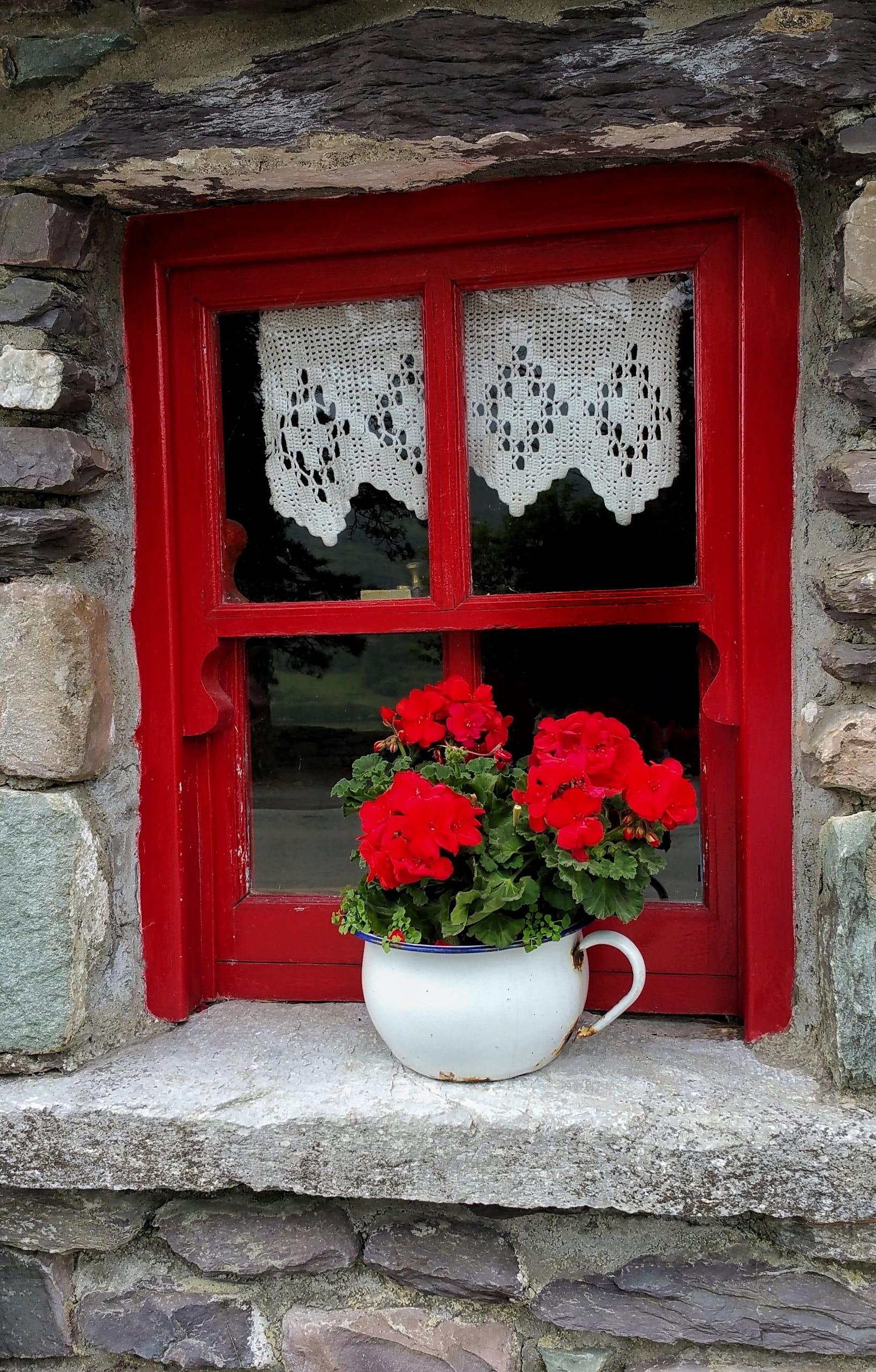 geranium, house, wall - building feature, irish, day, plant, decoration, cottage, red, planter, building exterior, lace, flowerpot, nature, architecture, Phone HD Wallpaper