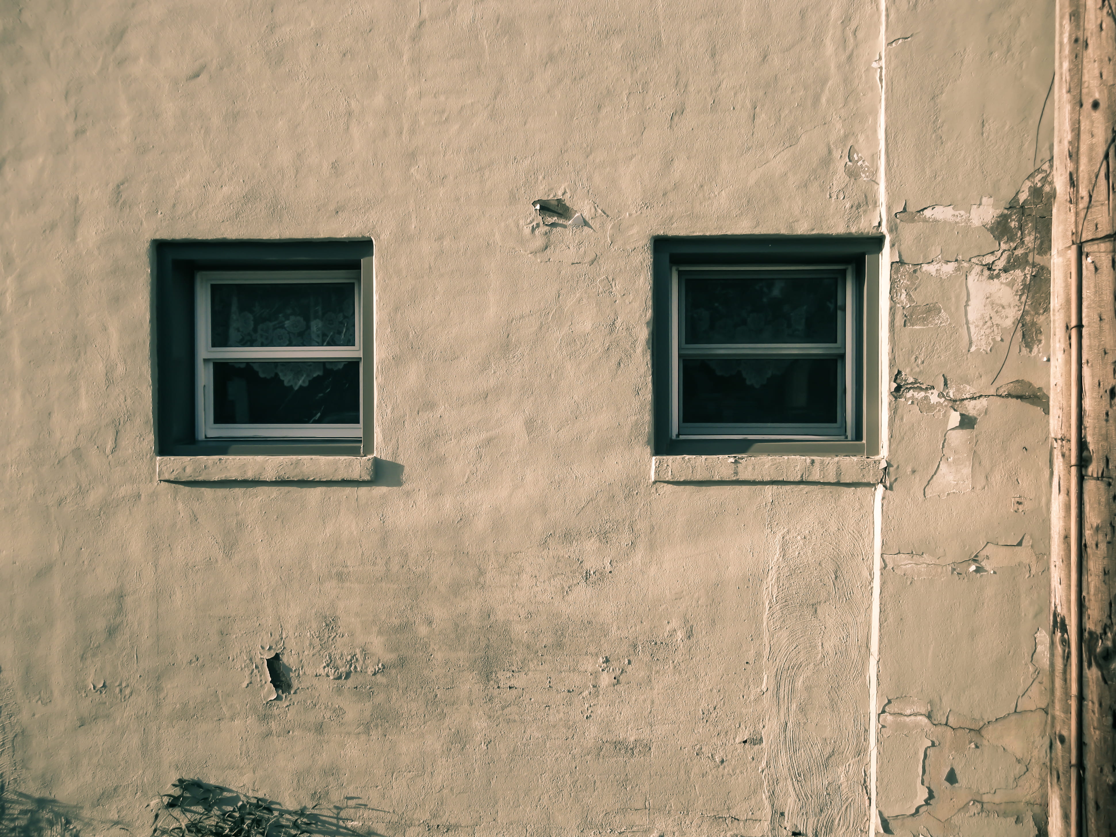 animal themes, no people, old building, bird, residential district, animals in the wild, house, wall - building feature, building exterior, animal wildlife, HD Wallpaper