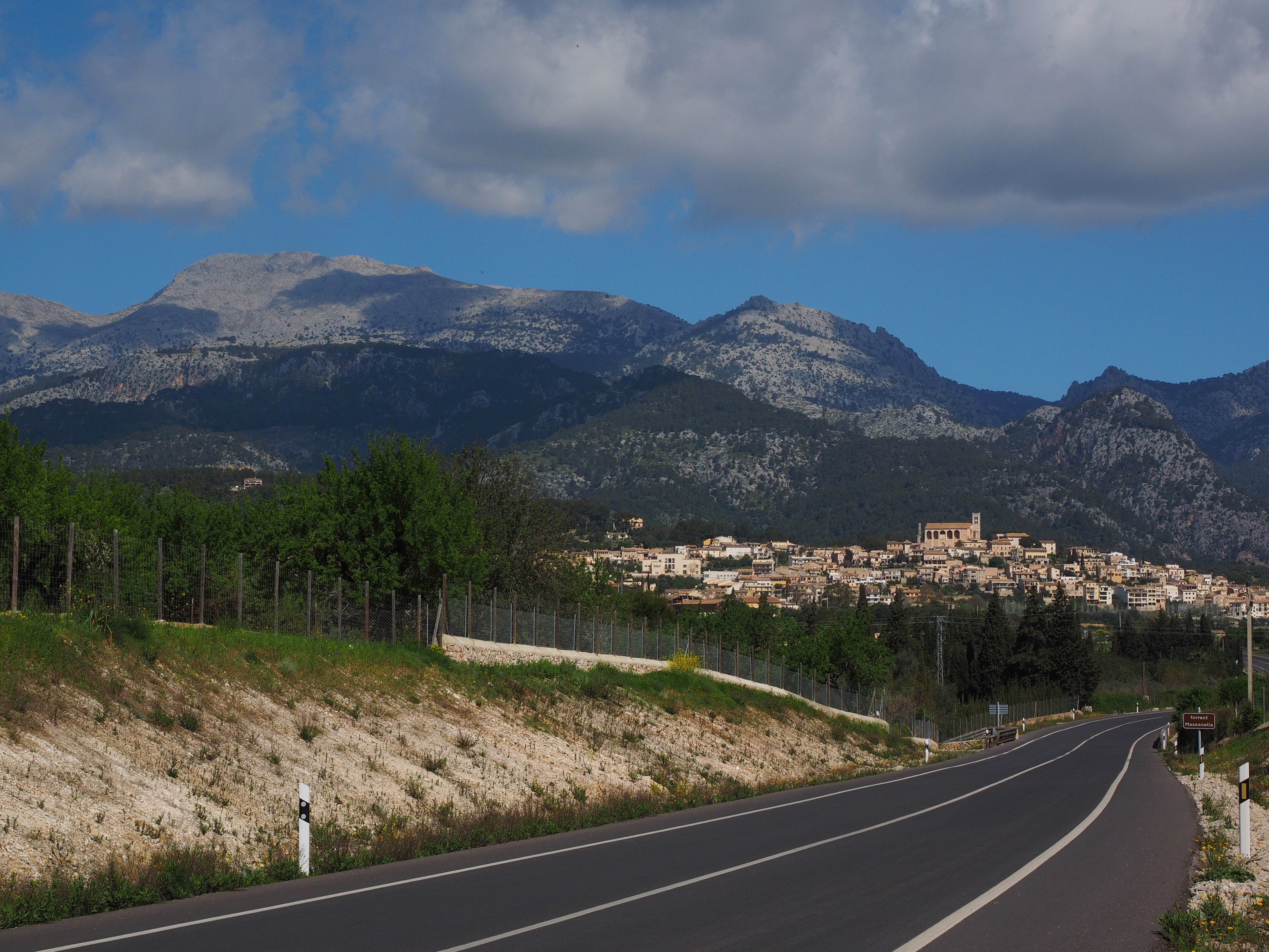 asphalt, city, spanish, the way forward, no people, tree, selva, paved, mountain range, sky, road marking, marking, massanella, mallorca, dividing line, HD Wallpaper