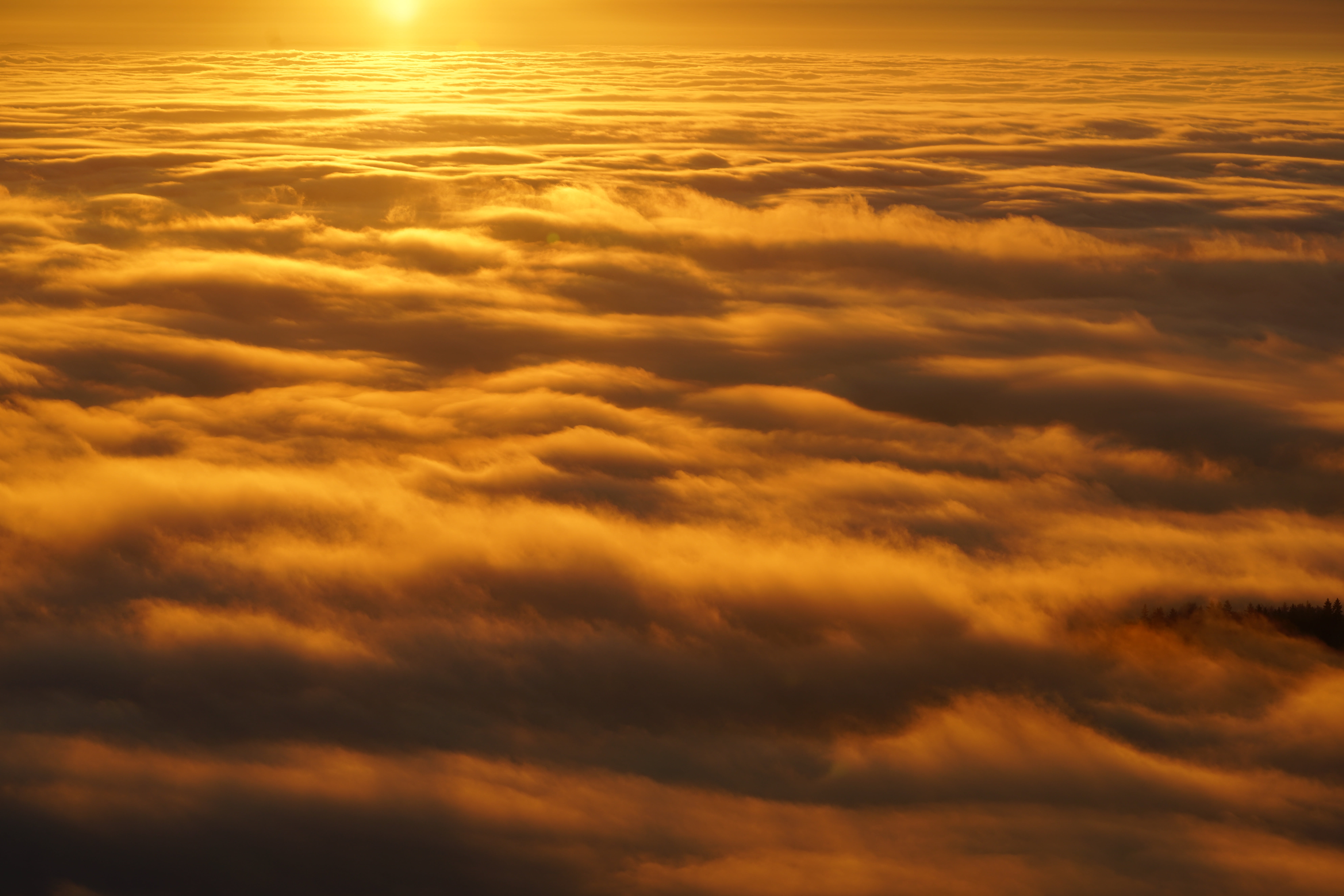 dramatic sky, idyllic, no people, sky, cloudscape, lichdurchflutet, cloud cover, fog lights, nature, nebula glow, sun, golden, sunset, atmosphere, awe, HD Wallpaper