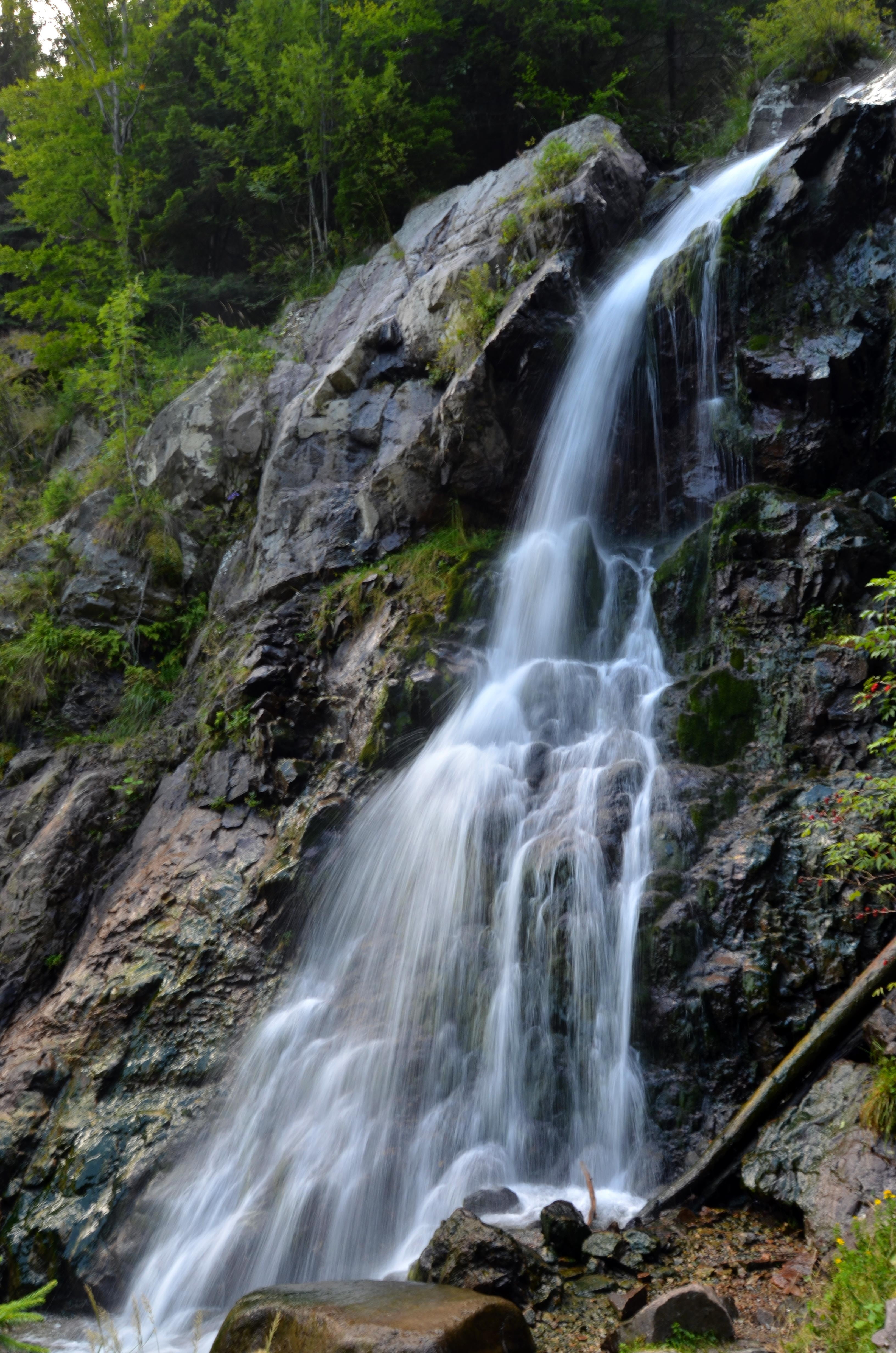 flowing, nature, varciorog waterfall, solid, 4K, power in nature, motion, non-urban scene, forest, long exposure, flowing water, the apuseni mountains, Phone HD Wallpaper