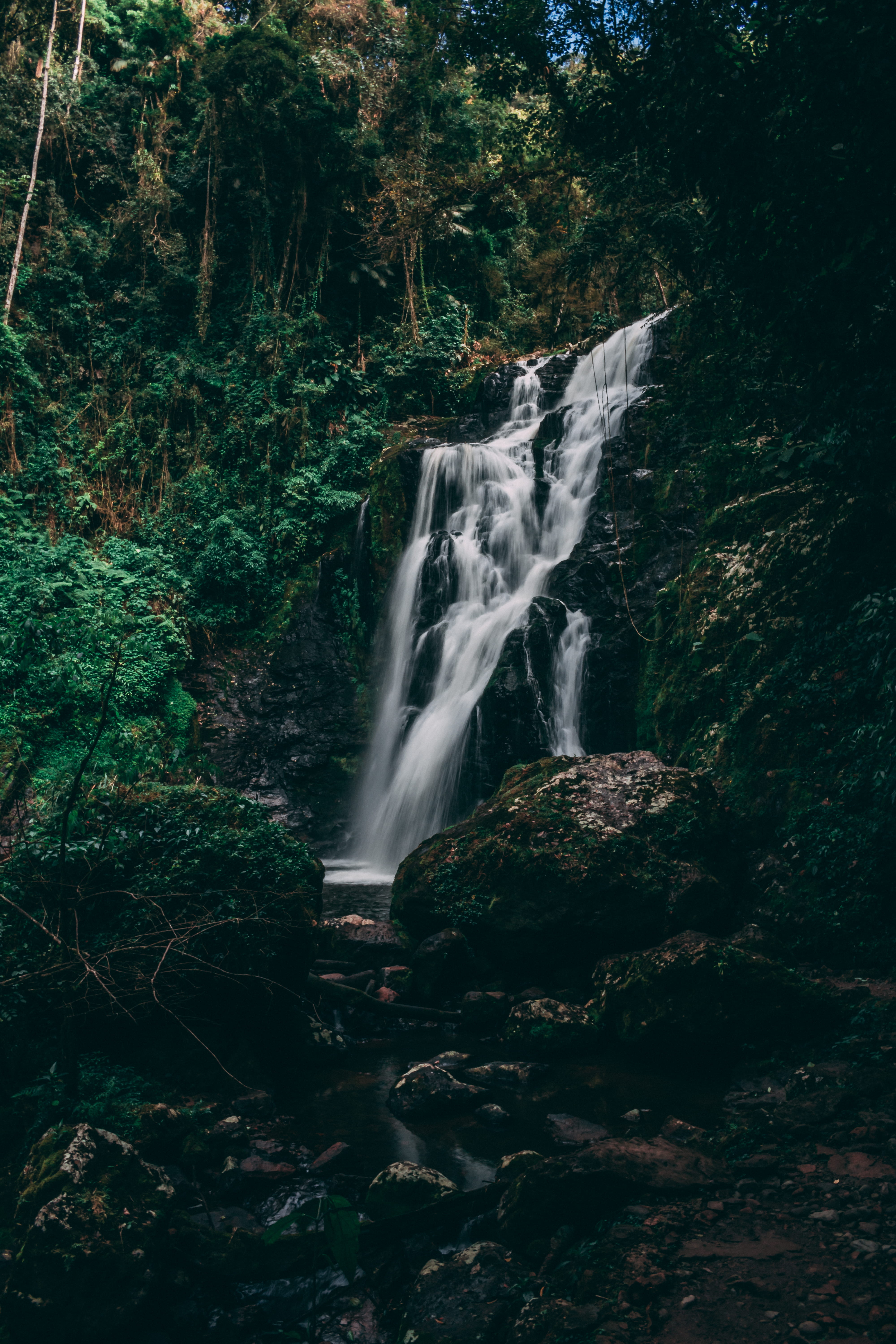 stream, rock, middle, environment, vegetación, day, nature, salto de agua, land, flowing, long exposure, scenics - nature, mountain, trees, waterfalls, Phone HD Wallpaper