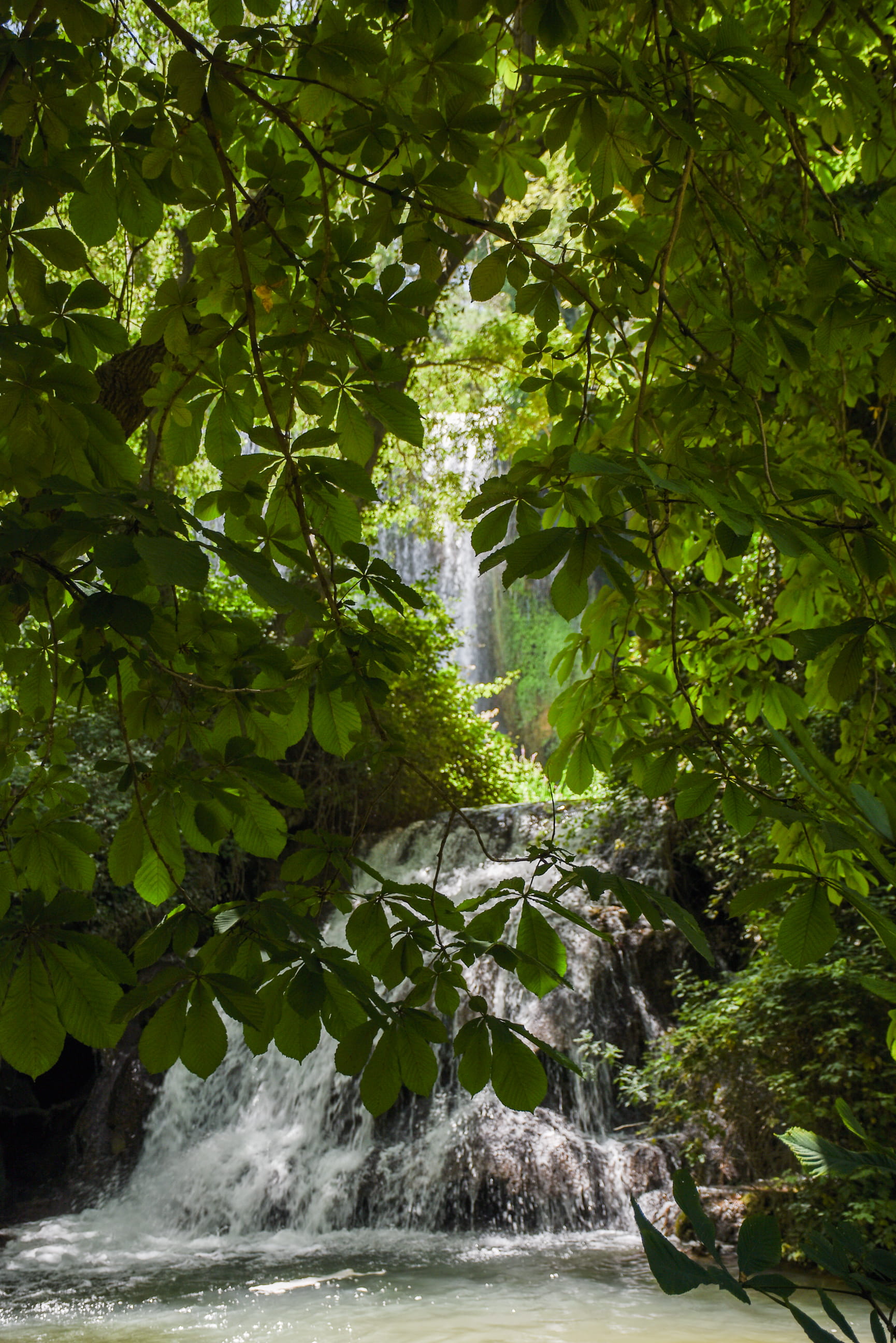 green color, leaf, land, nature, power in nature, tree, verde, cascadas, no people, plant part, flowing, scenics - nature, growth, aragón, plant, waterfall, Phone HD Wallpaper