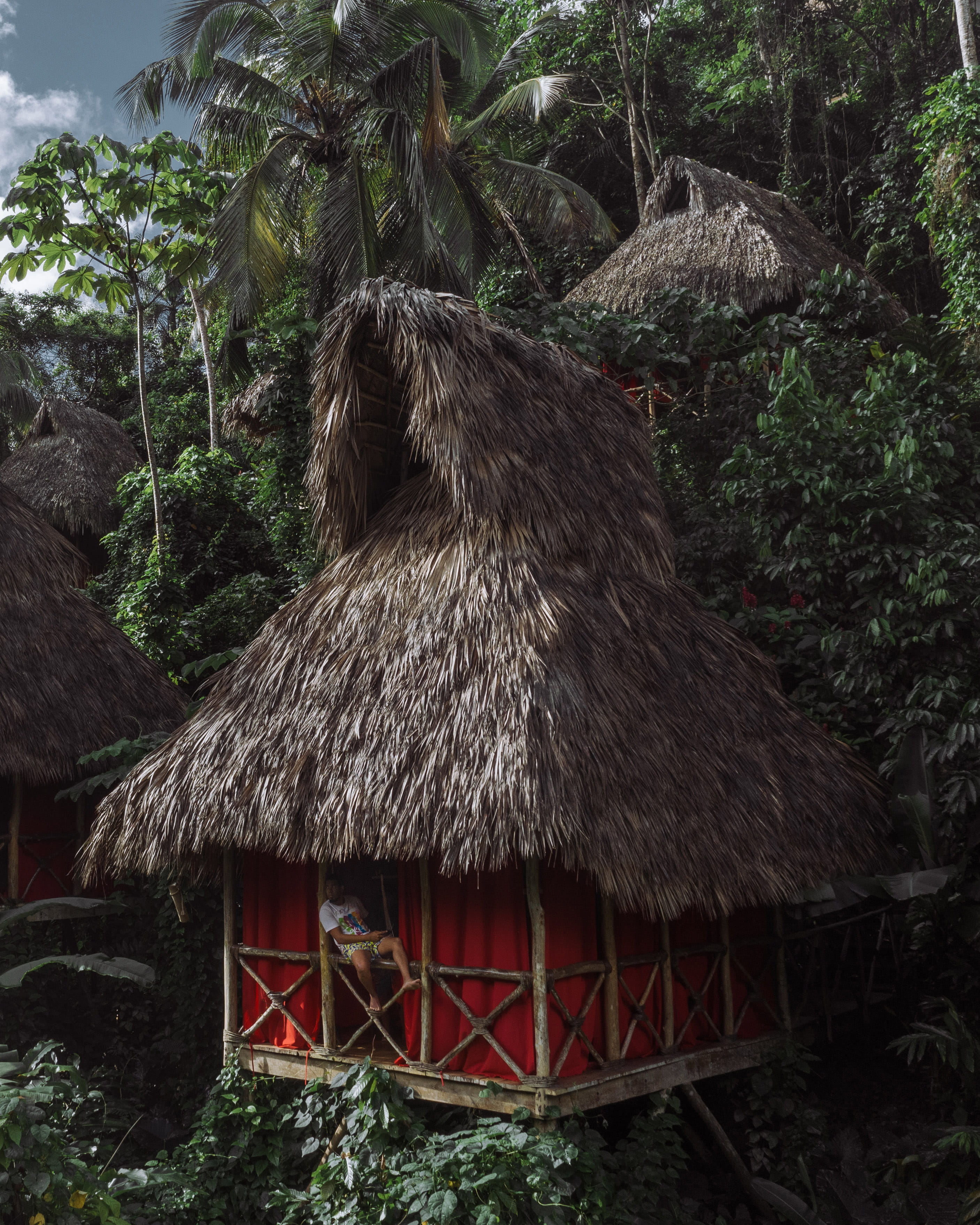 hut, rural, house, explore, balcony, brown, tropical, palm tree, day, building, tree, near, built structure, trees, relax, animal, person, dominican republic, Phone HD Wallpaper