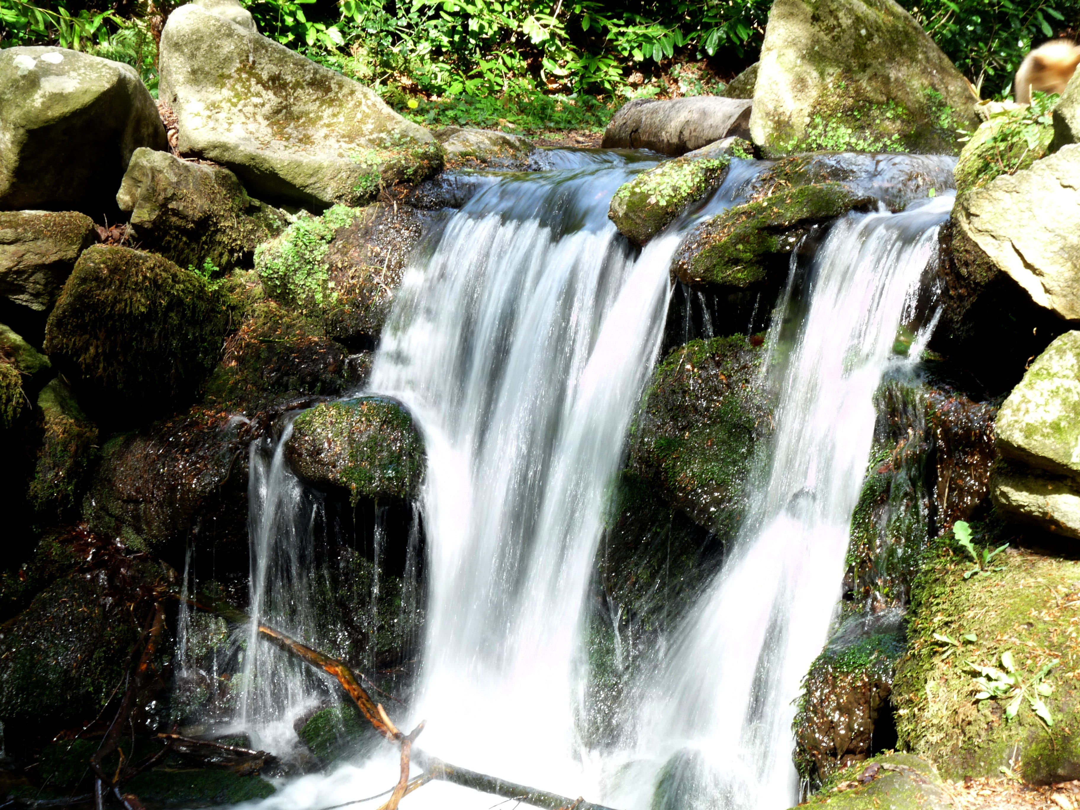 nature, no people, waterfall, long exposure, plant, solid, power in nature, forest, rock, flowing, scenics - nature, falling water, beauty in nature, dray nur waterfall, HD Wallpaper