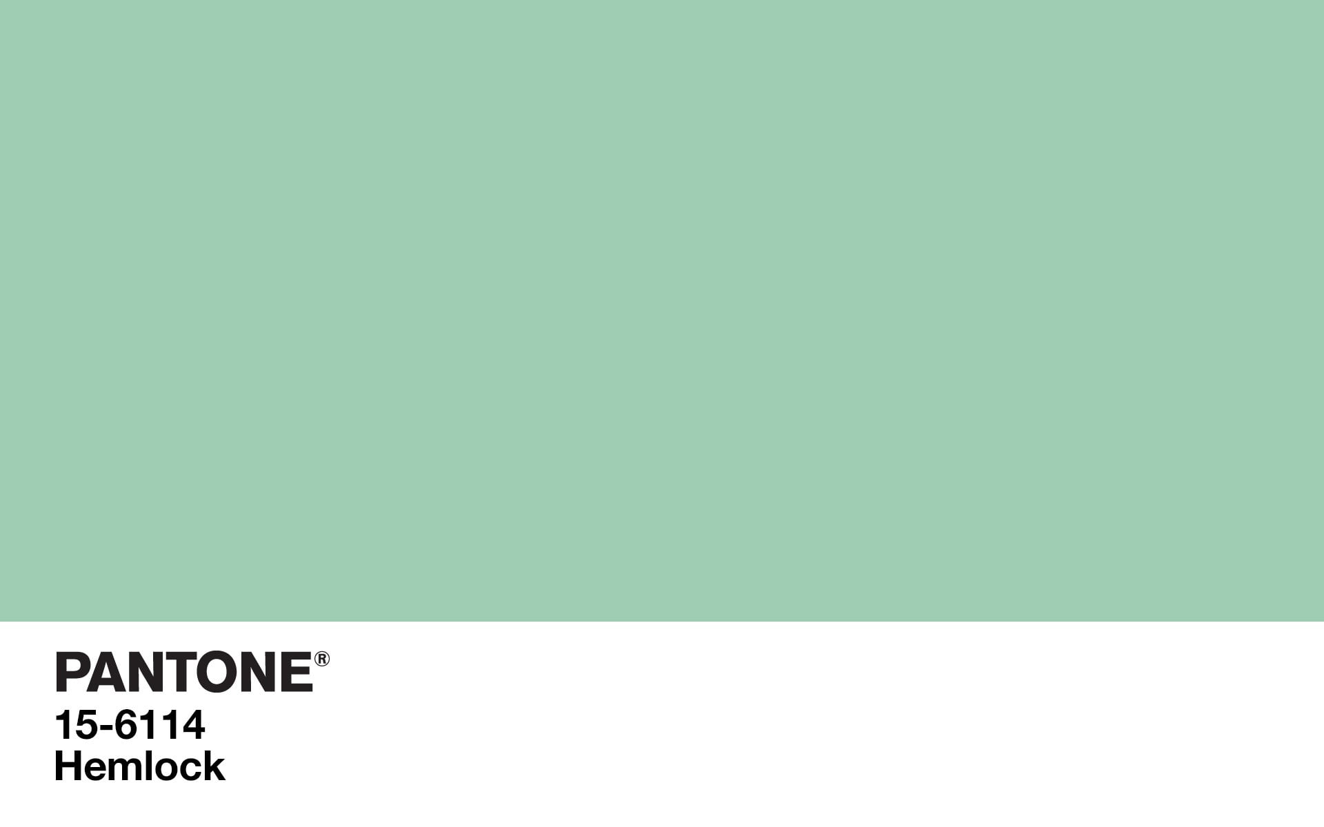 cut out, studio shot, text, copy space, communication, no people, paper, indoors, western script, color codes, green color, minimalism, colorful, 1080P, HD Wallpaper