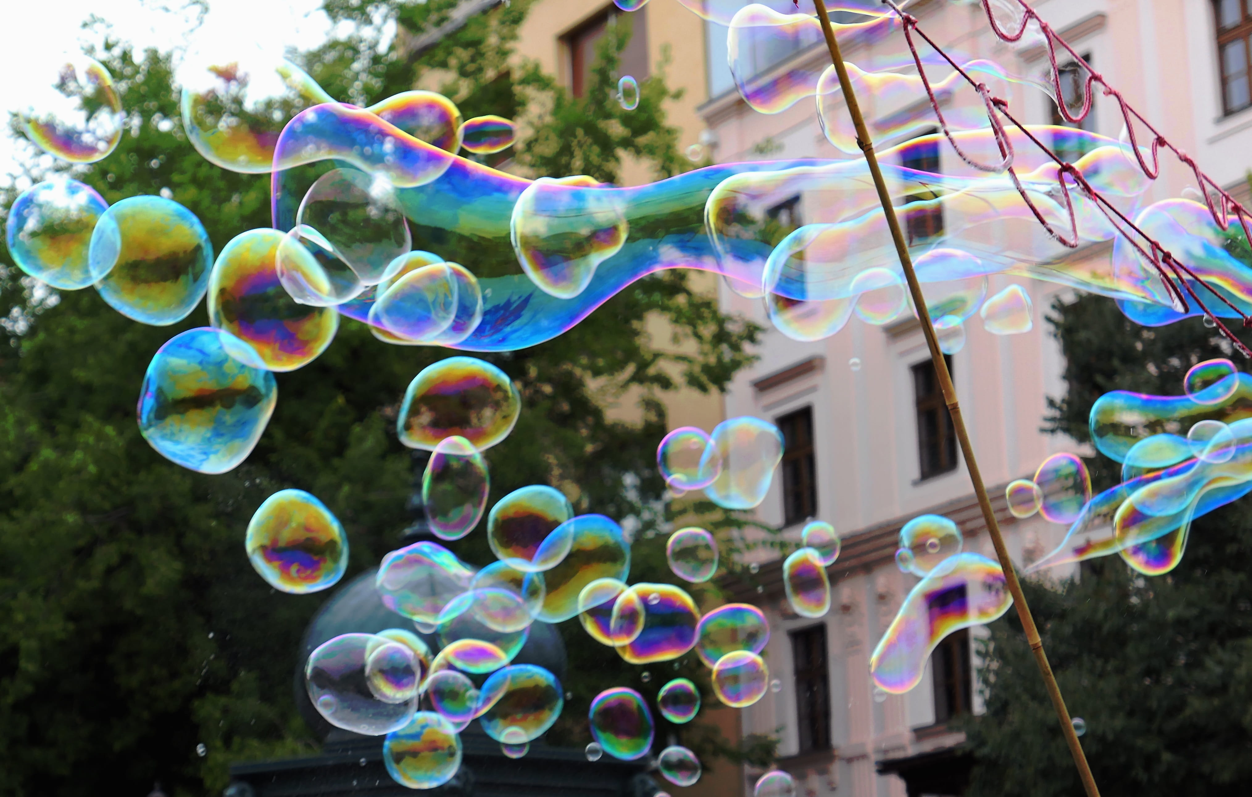 lightweight, blowing, multi colored, 4K, day, foam, mid-air, no people, growth, tree, children, close-up, transparent, airy, color, fragility, bubble, HD Wallpaper