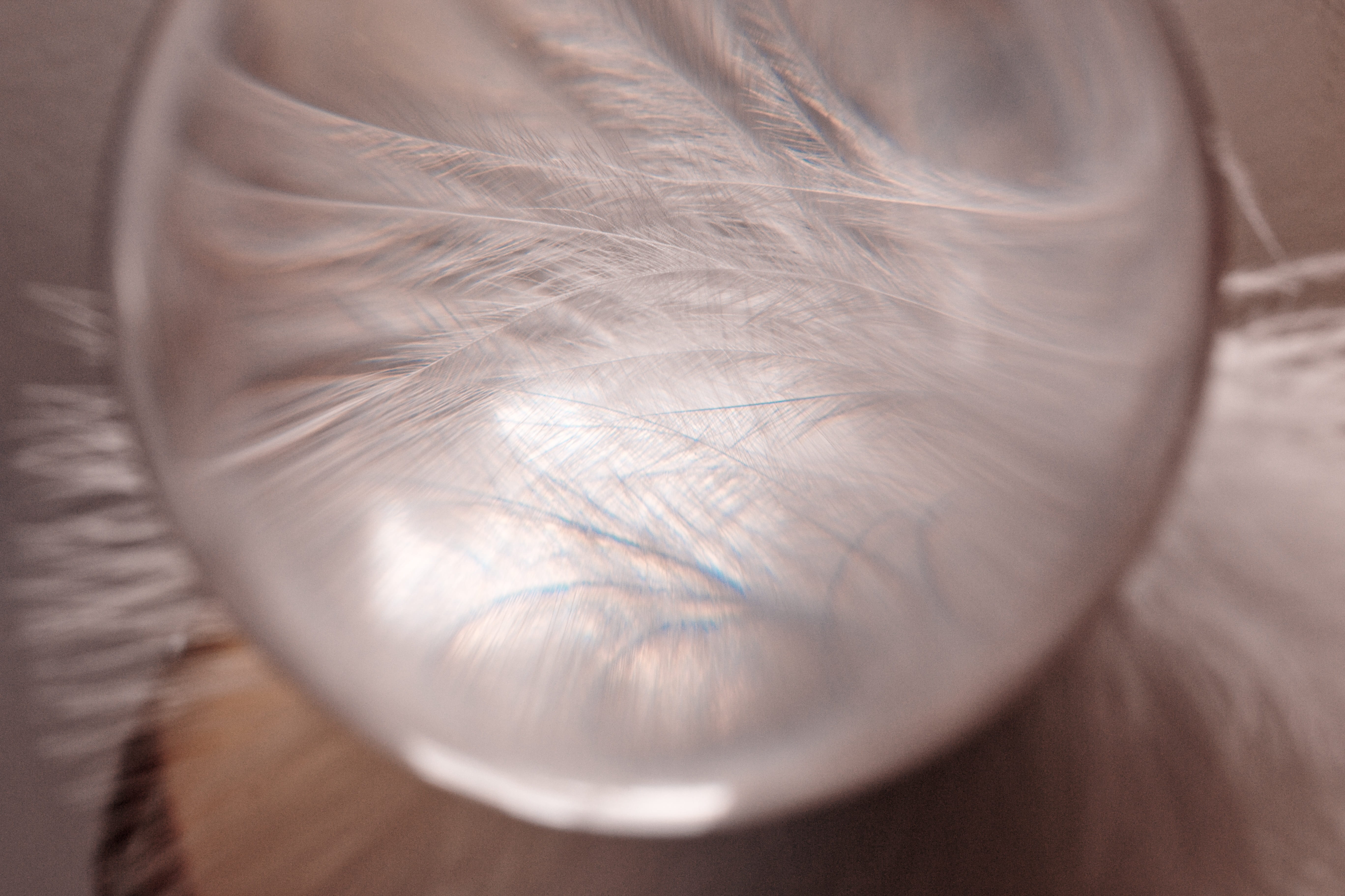 lightweight, nahaufmahme, beautiful woman, eye, untitled, background, one person, human skin, adult, softness, human eye, extreme close-up, human body part, HD Wallpaper