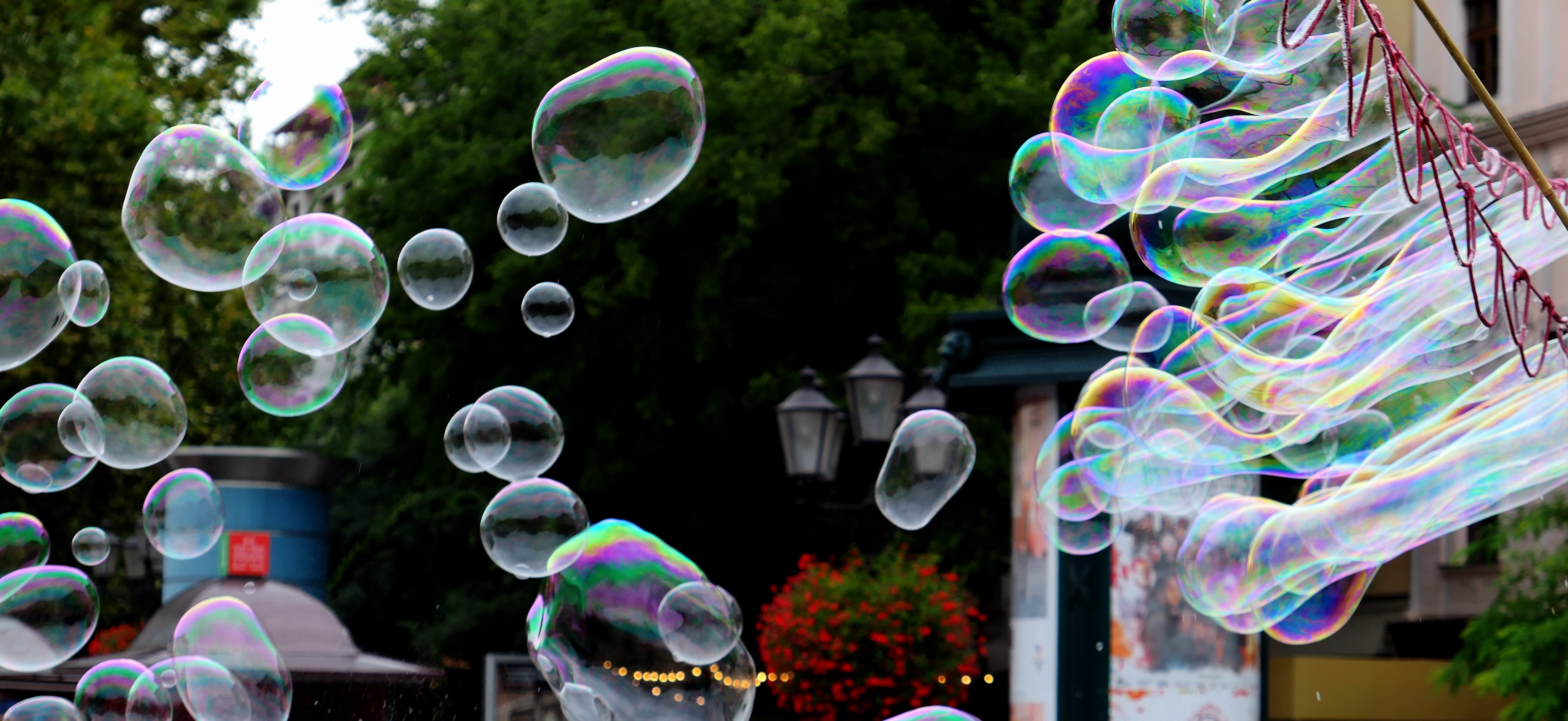 outdoors, foam, softness, tree, soap bubbles, ball, close-up, design, transparent, multi colored, mid-air, nature, fun, focus on foreground, childhood, HD Wallpaper
