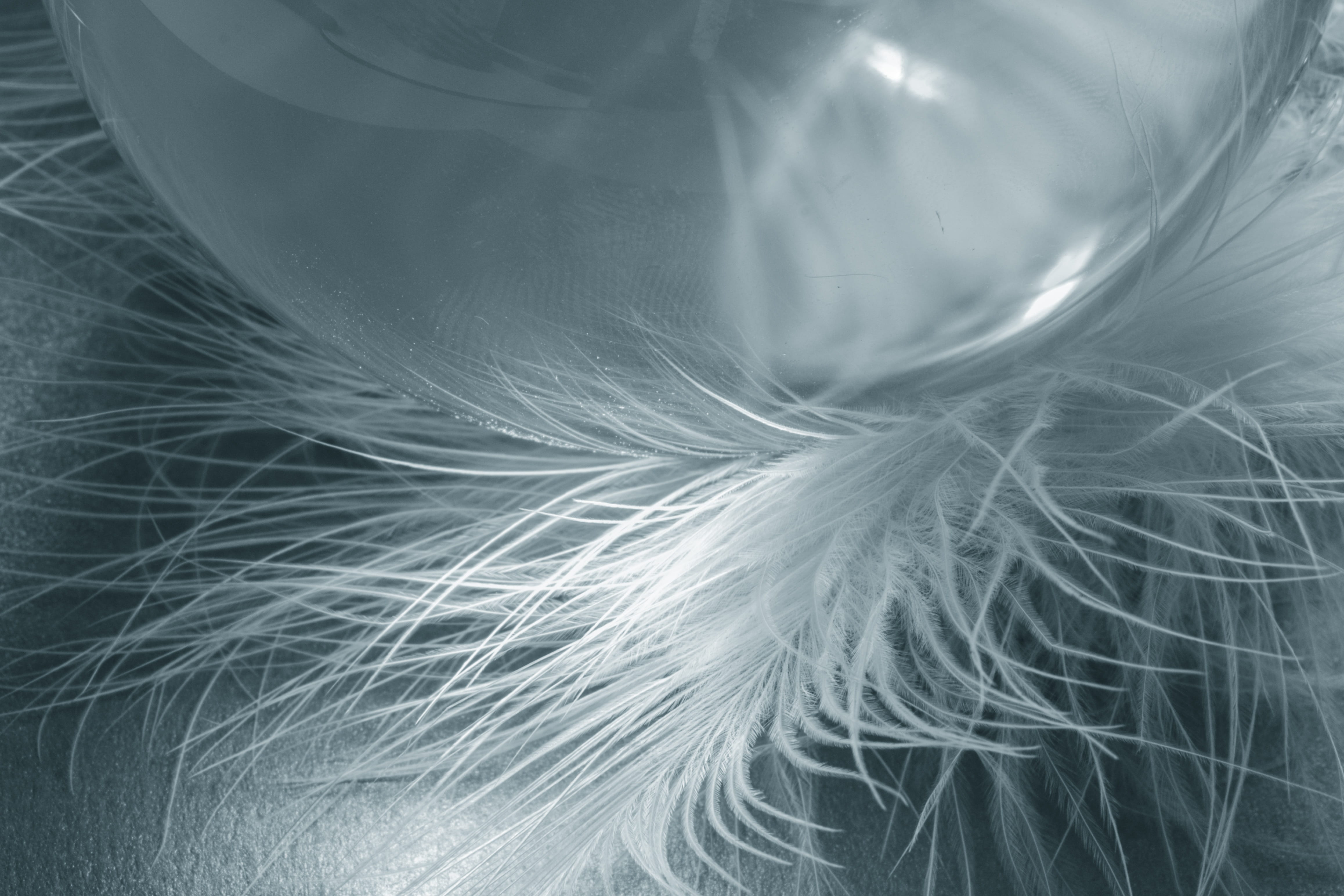 textured, close-up, featherweight, motion, spring dress, freshness, closeup, lightweight, blue, feathers, photo, indoors, bird feather, background, textured effect, HD Wallpaper