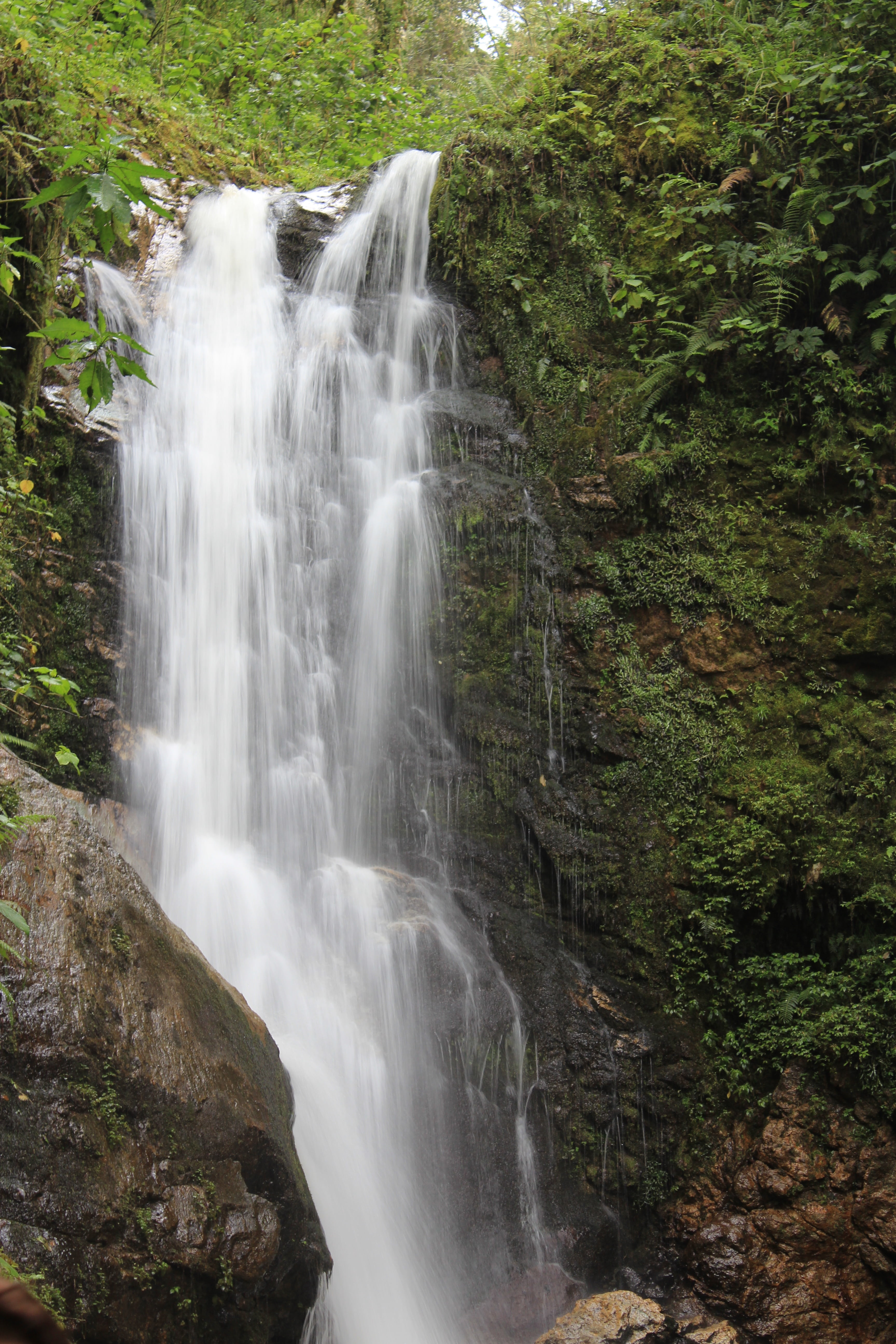waterfall, no people, nature, tree, beauty in nature, mood, scenics - nature, water, costa rica, landscape, forest, travel, outdoors, solid, exotic, wanderlust, Phone HD Wallpaper