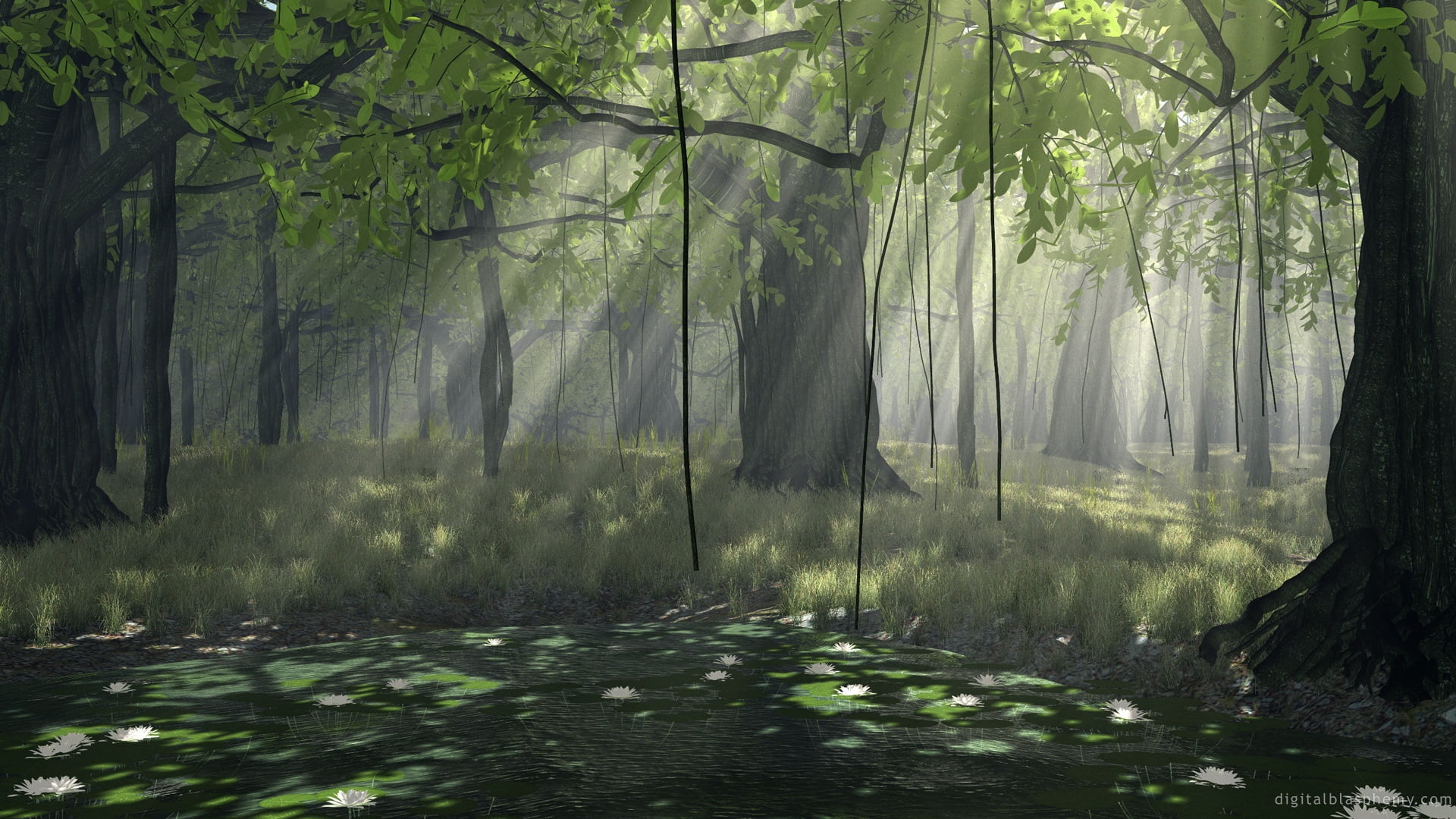 woodland, light - Natural Phenomenon, sunlight, landscape, rain, beauty In Nature, non-Urban Scene, green Color, wilderness Area, leafed, plant, fantasy, HD Wallpaper