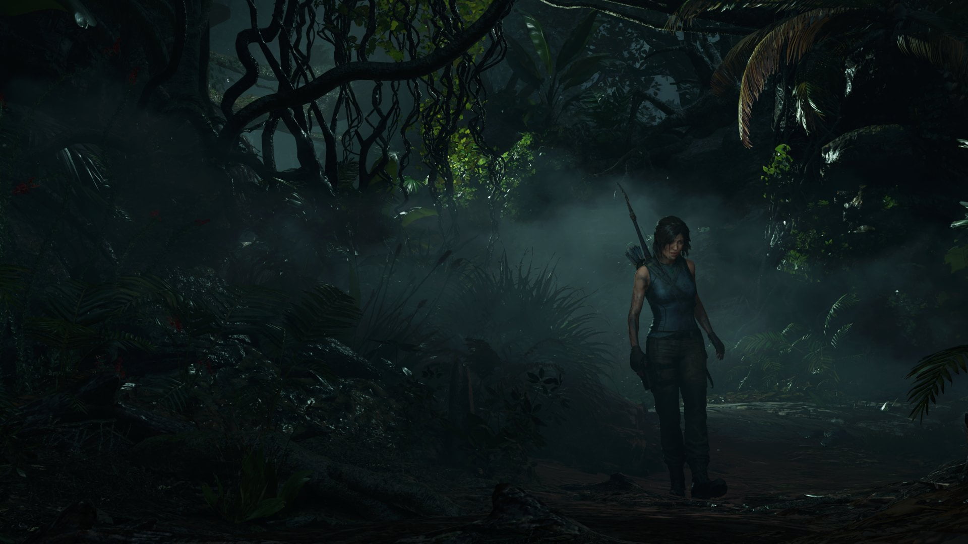 fern, jungle, bow, dirt, shadow of the tomb raider, adventure, Tomb Raider, Liana, Lara Croft, 1080P, mudd, fog, fern green, mist, HD Wallpaper