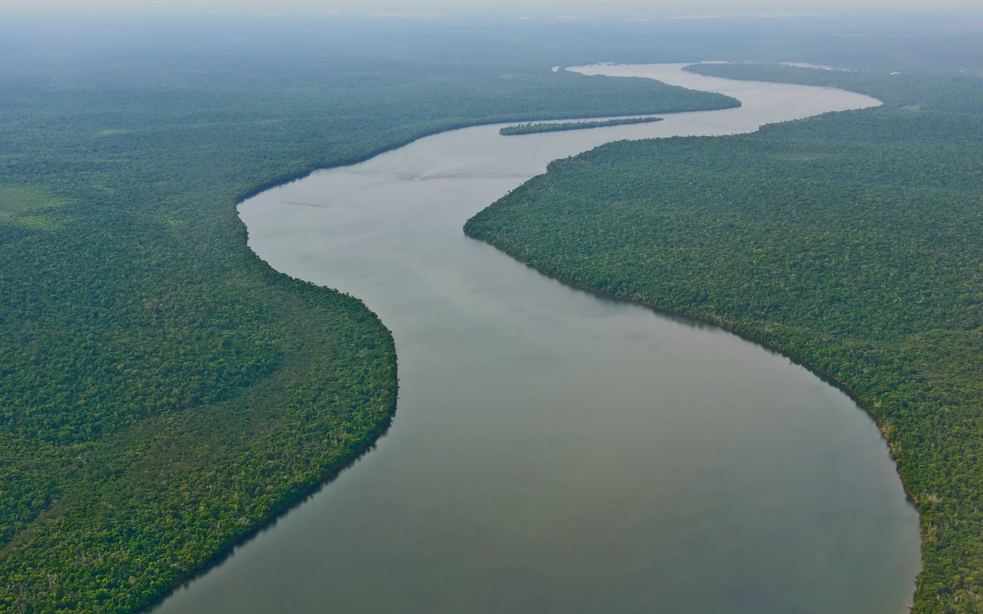south, river, nature, 1080P, america, amazon, HD Wallpaper