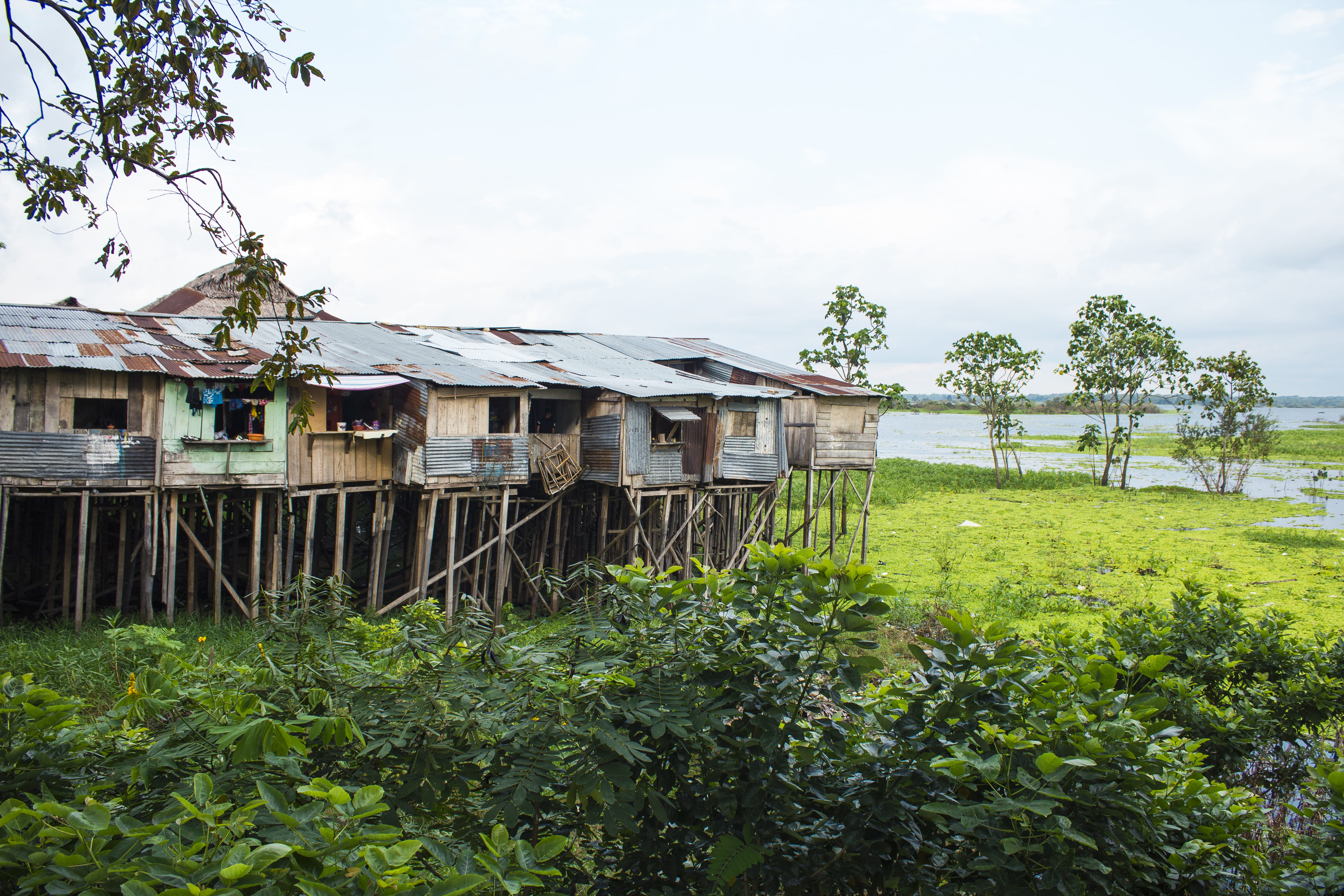 poverty, river, green color, iquitos, wood - material, residential district, building exterior, built structure, land, 5K, house, riverpeople, cloud - sky, HD Wallpaper