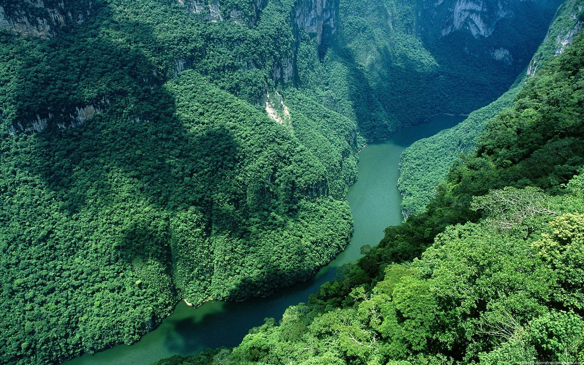 no people, tranquil scene, environment, foliage, Rocks, Amazon, River, land, non-urban scene, plant, green color, scenics - nature, mountain, lush foliage, HD Wallpaper