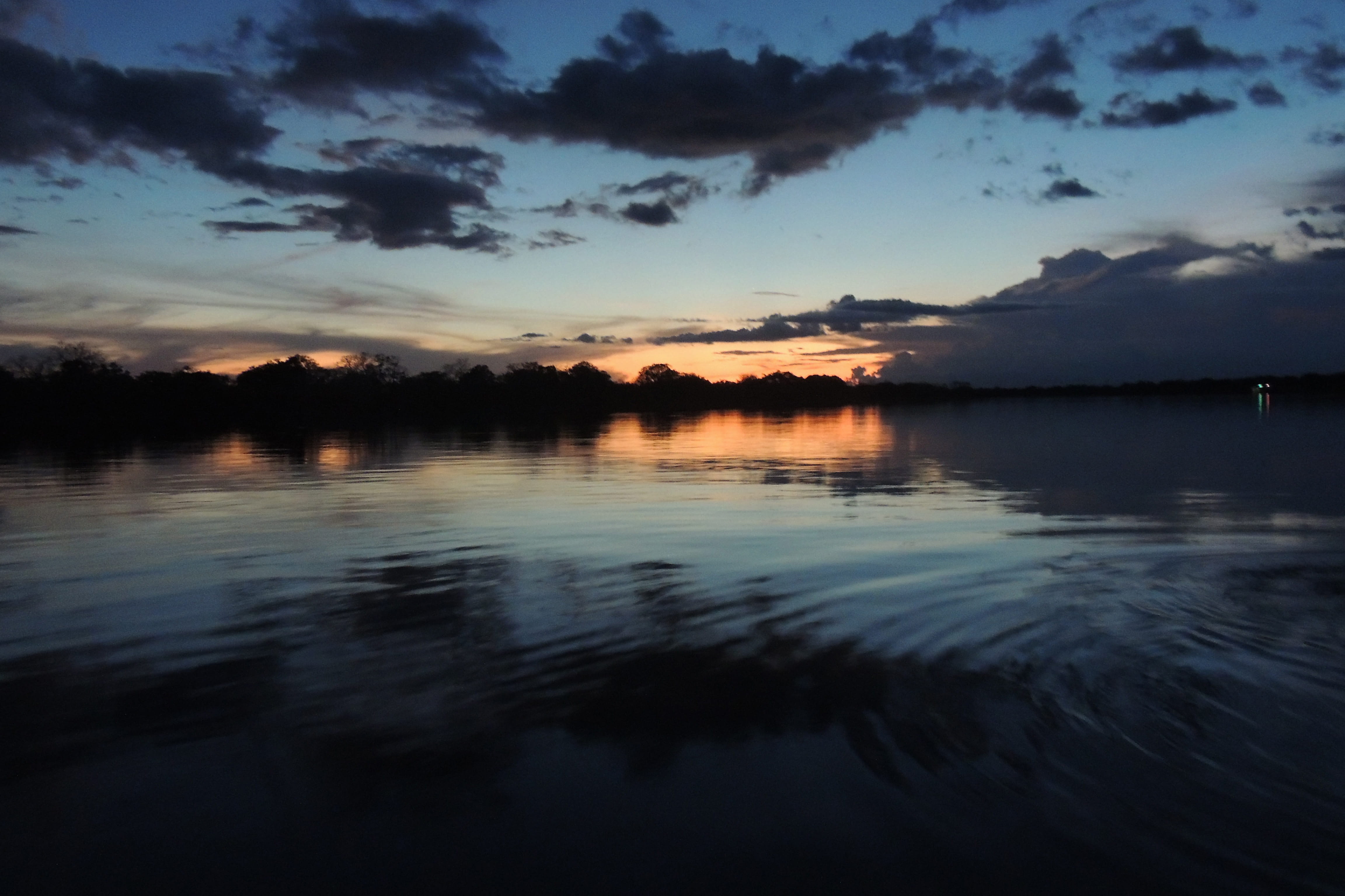 reflection, 4K, lake, amazon, tranquility, beauty in nature, river, waterfront, tree, dusk, idyllic, sunset, outdoors, no people, scenics - nature, rivers, HD Wallpaper