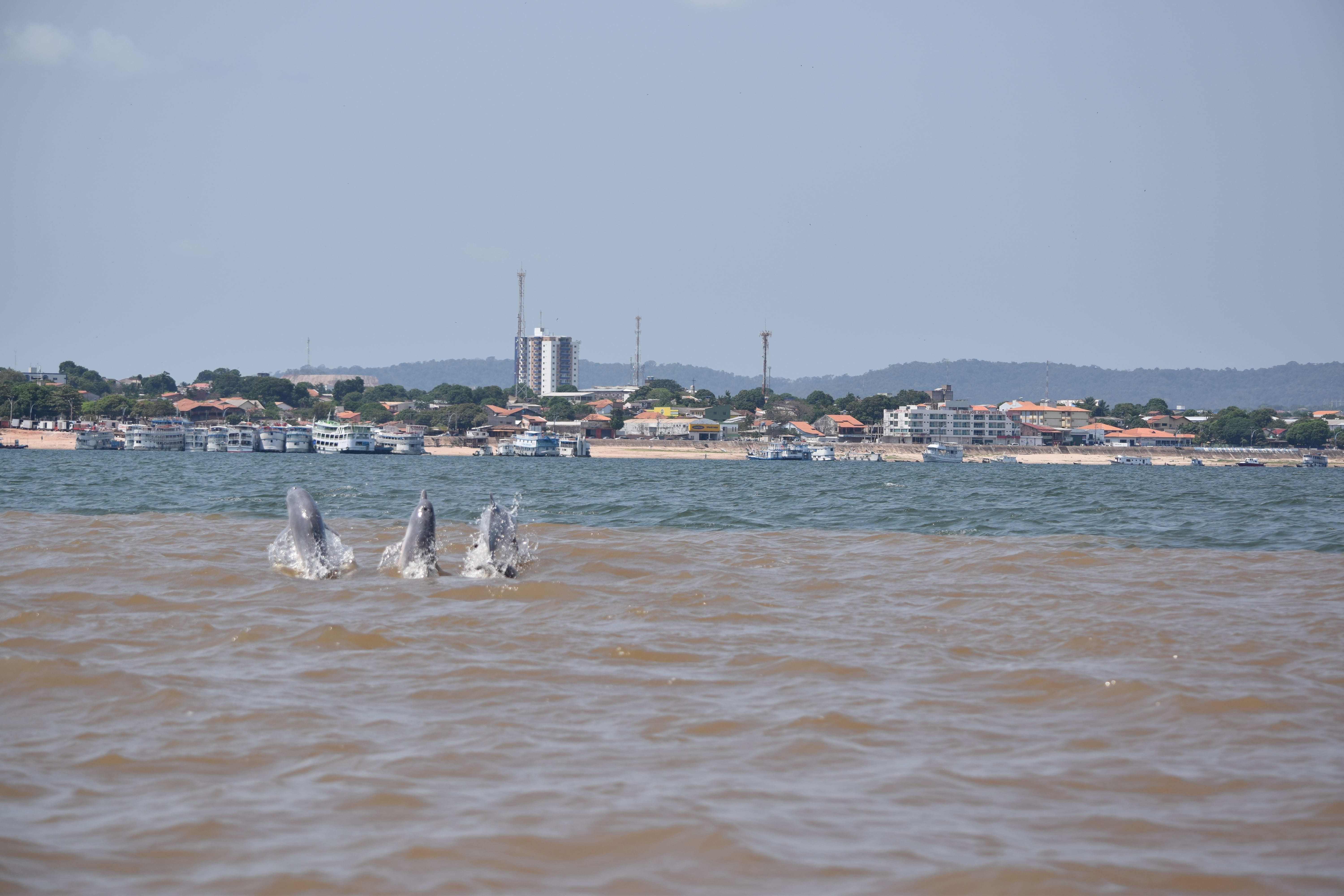 sky, mode of transportation, cityscape, brazil, nature, transportation, amazon river, outdoors, river, sport, day, water, santarém, boto, architecture, HD Wallpaper