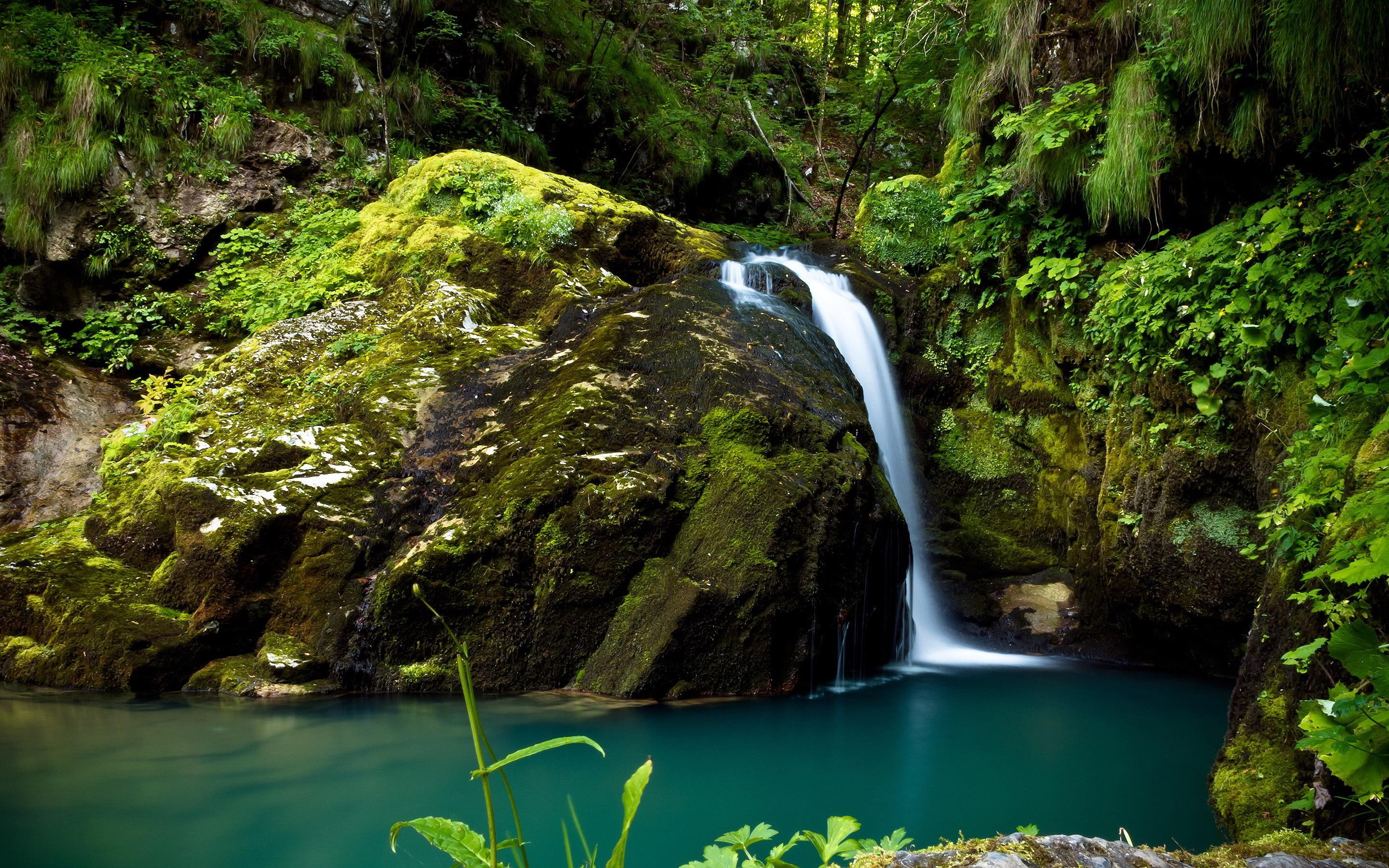 rocks, mossy, nature, rain, 2K, waterfall, forest, HD Wallpaper