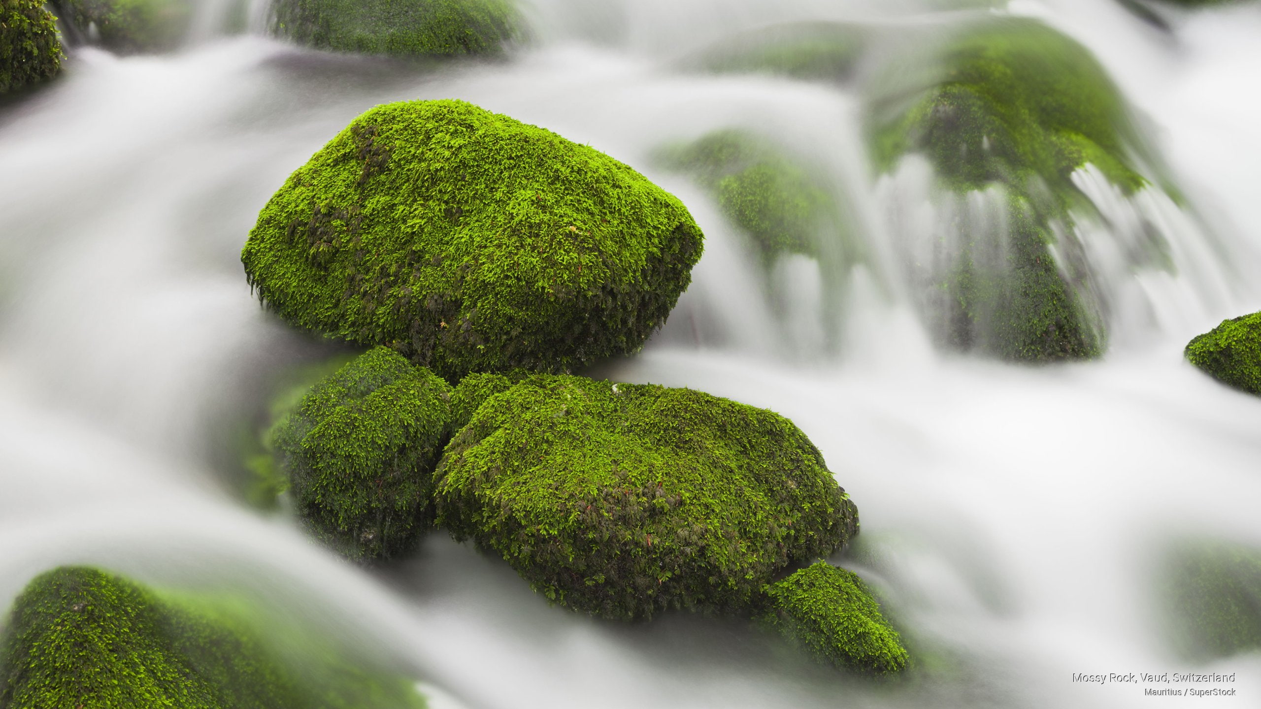 mossy, switzerland, Nature, vaud, rock, 2K, HD Wallpaper