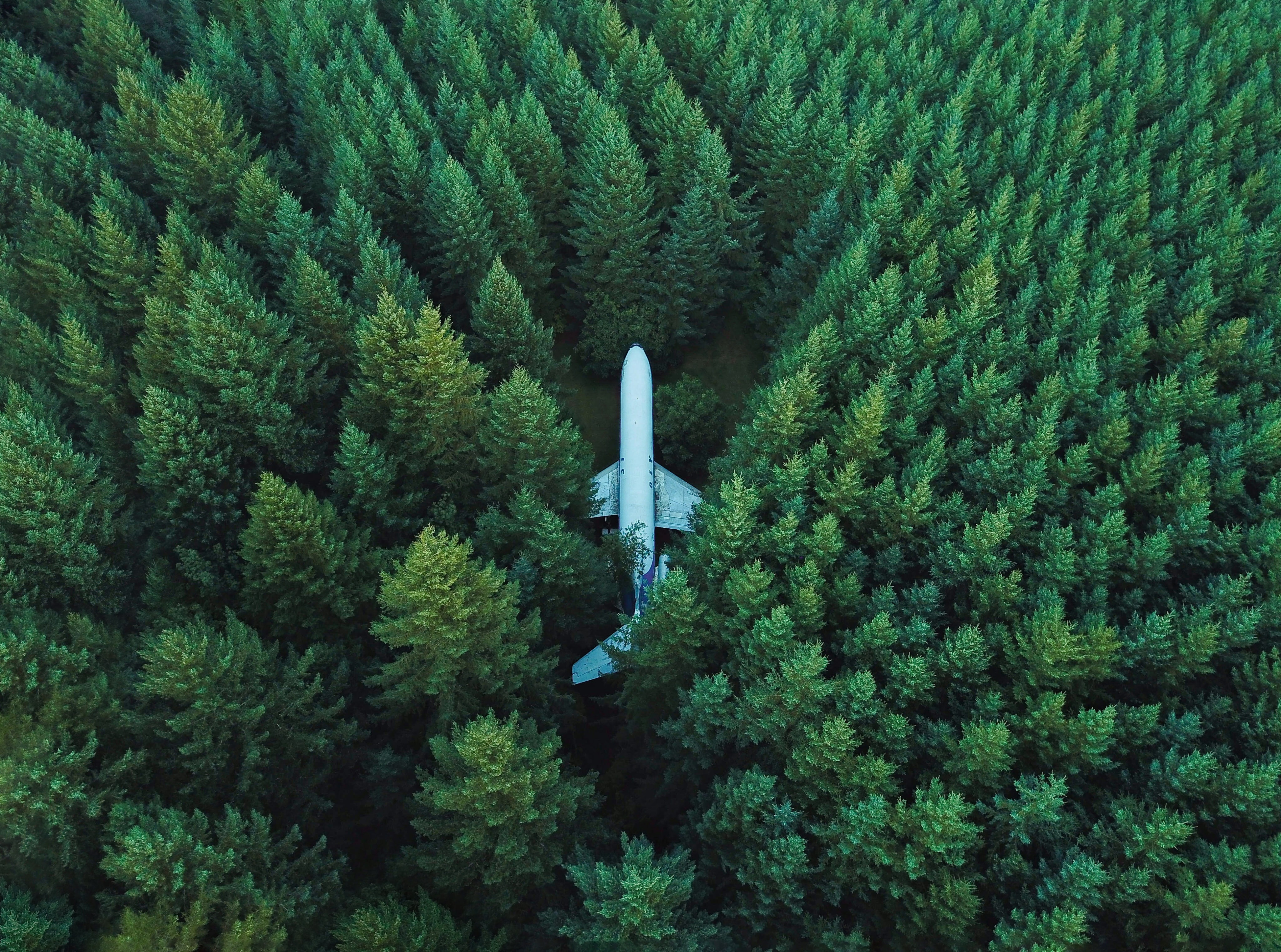 photography, Lost, 4K, Nature, DroneView, Woodland, Airplane, DronePhotography, Woods, Forest, best, drone, Aerial, Forests, HD Wallpaper