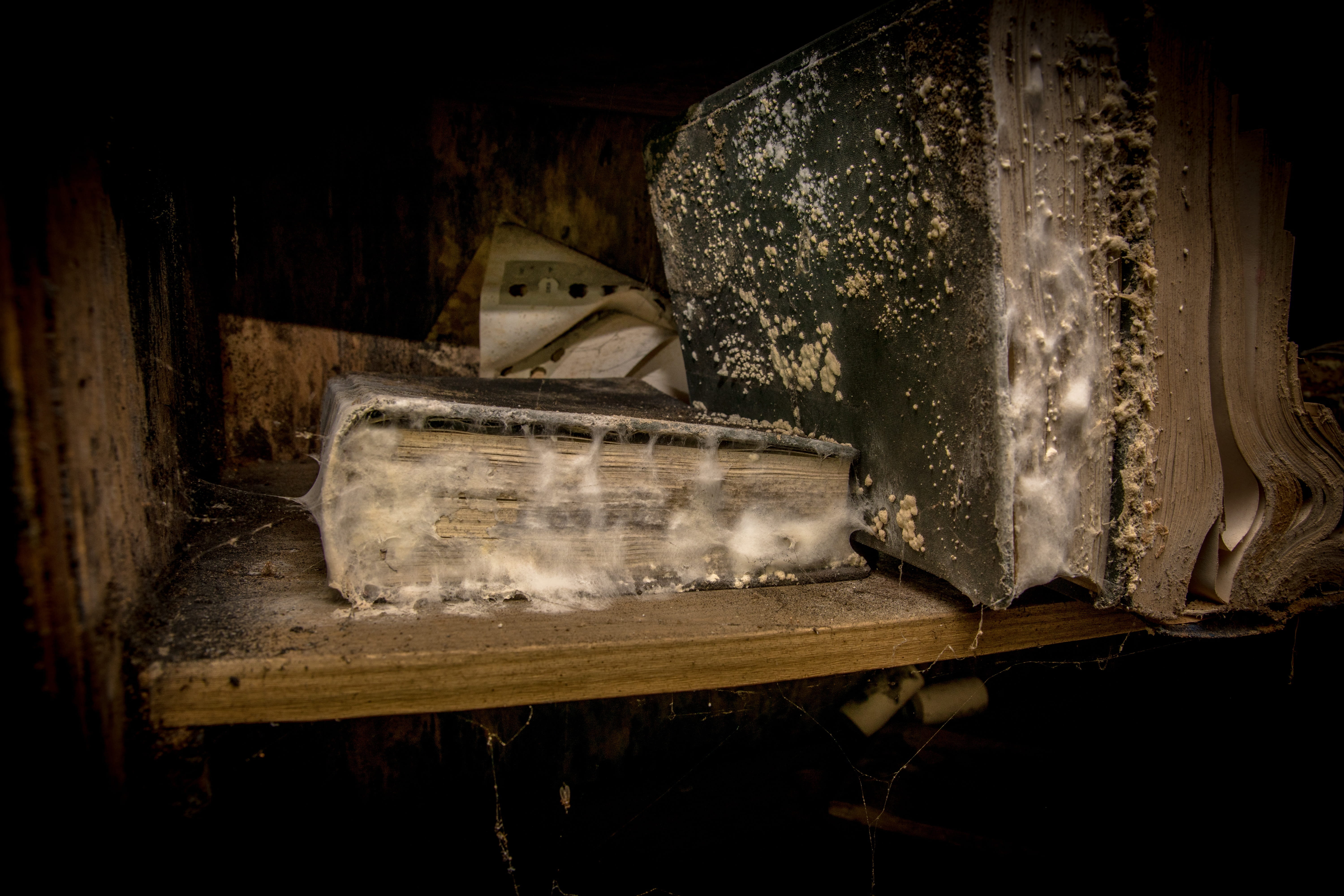 damaged, obsolete, nature, mystical, night, run-down, wood, weathered, pforphoto, close-up, dirty, secret, still life, ruined, 5K, open, abandoned, darkness, HD Wallpaper