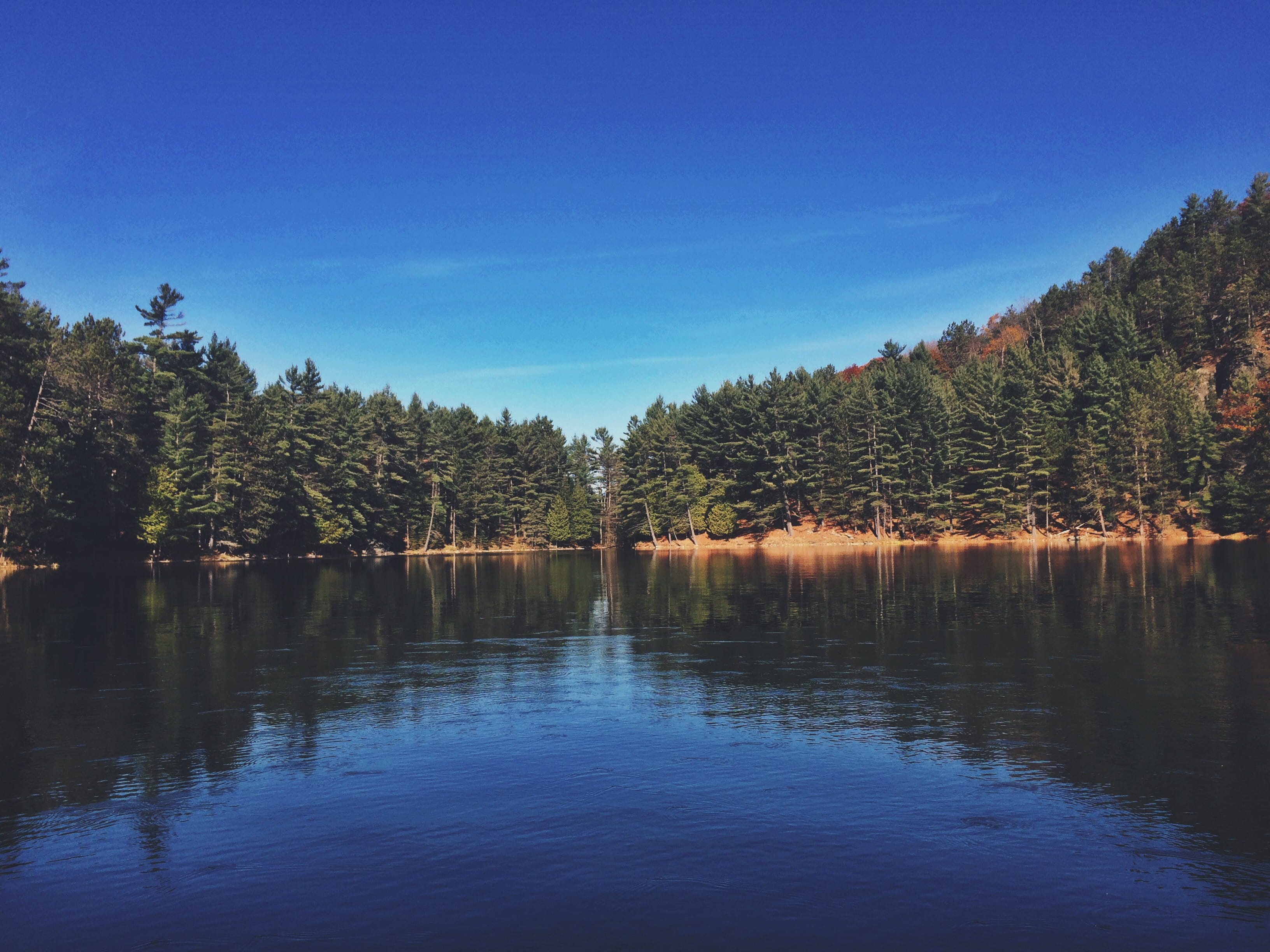 non-urban scene, nature, water, no people, plant, growth, this, camping, beauty in nature, found, forest, woods, waterfront, happy, day, lake, tranquility, HD Wallpaper