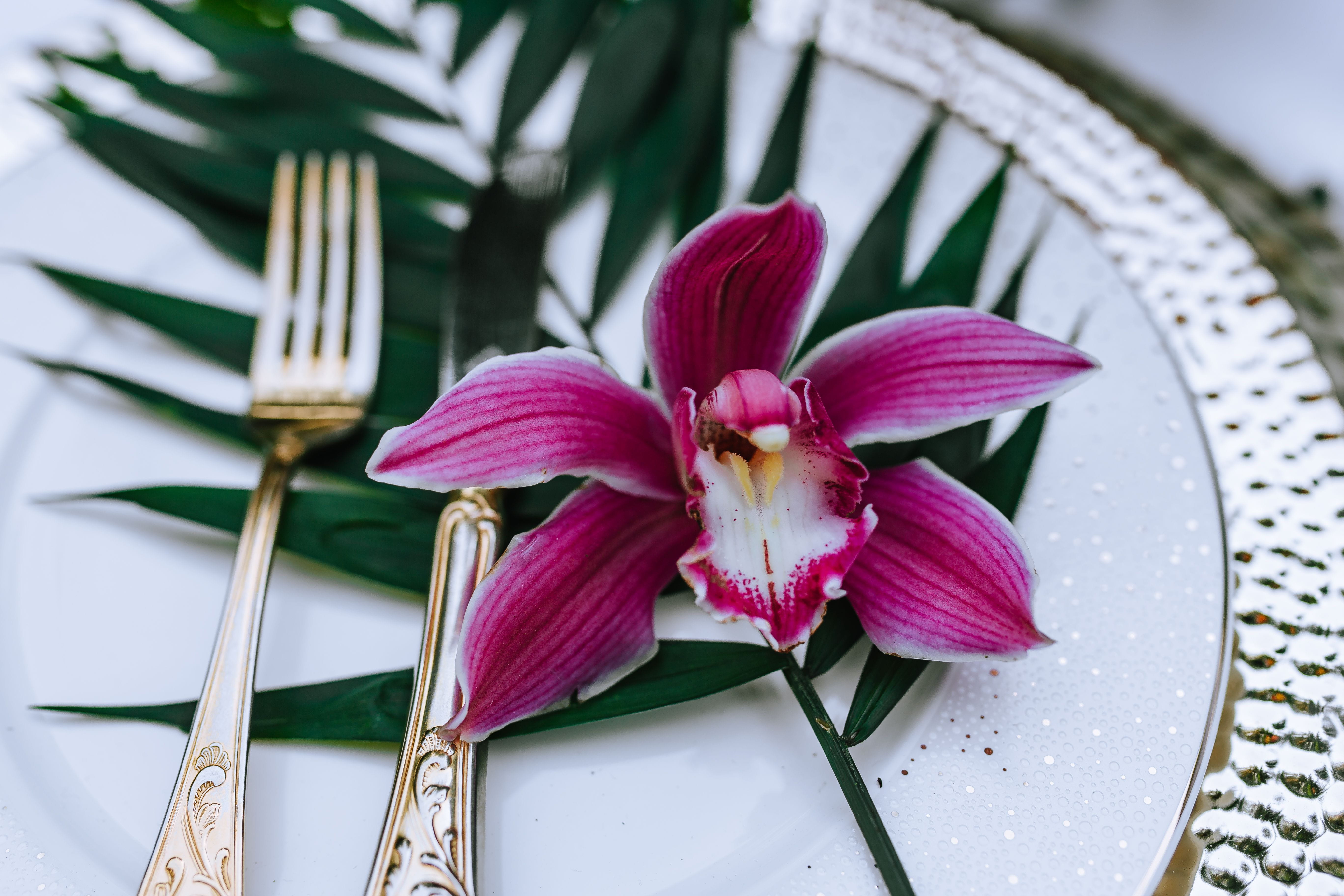leaf, purple, multicolor, healthy eating, inflorescence, Greenery, beauty in nature, flowering plant, outdoors, table, plant part, tray, petal, growth, HD Wallpaper